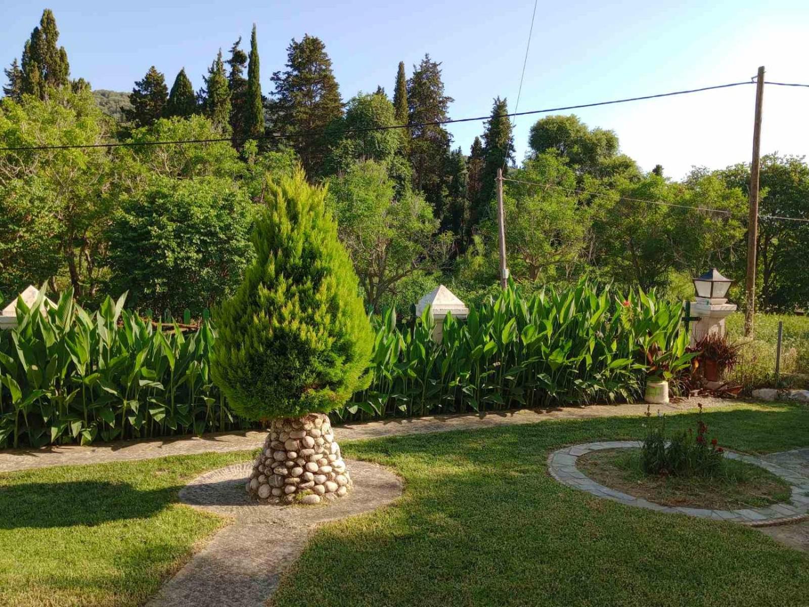 Photo 31