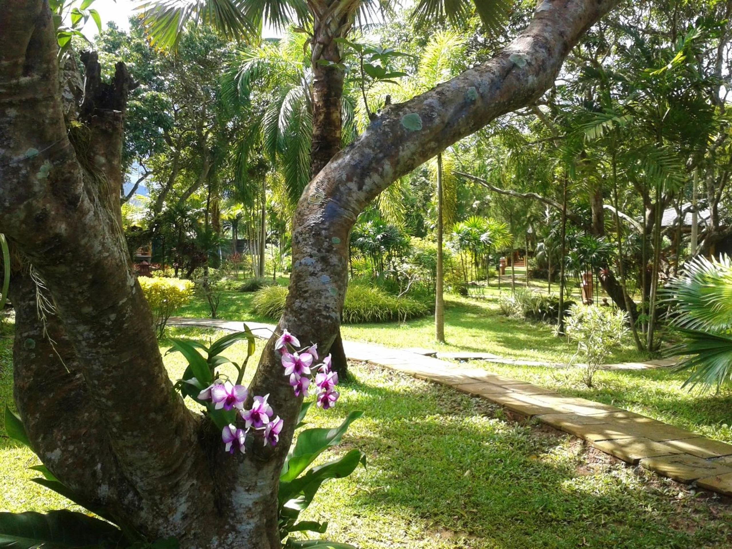 Huan Chiang Dao Resort