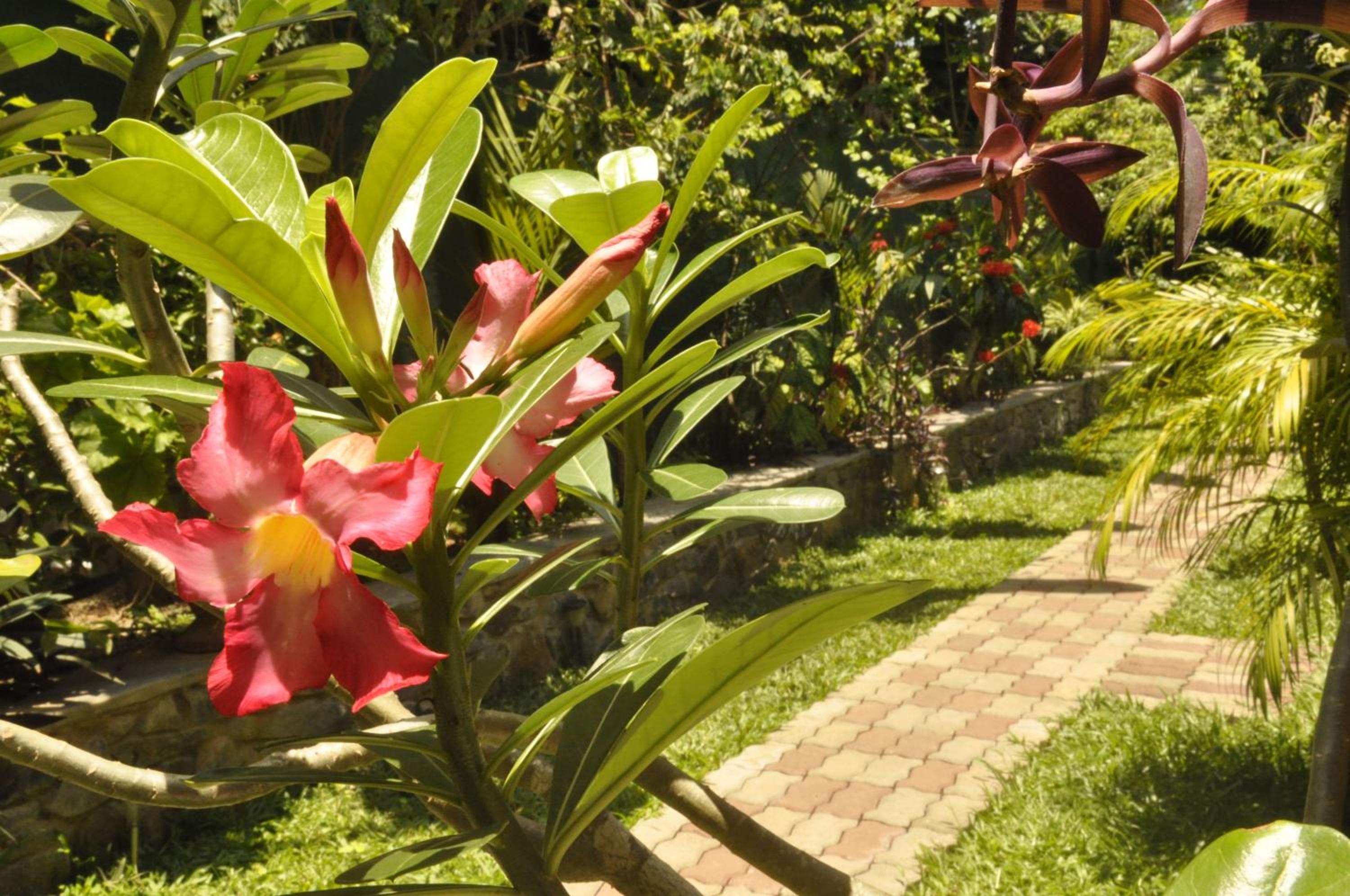 Green Villa Unawatuna — photo 35
