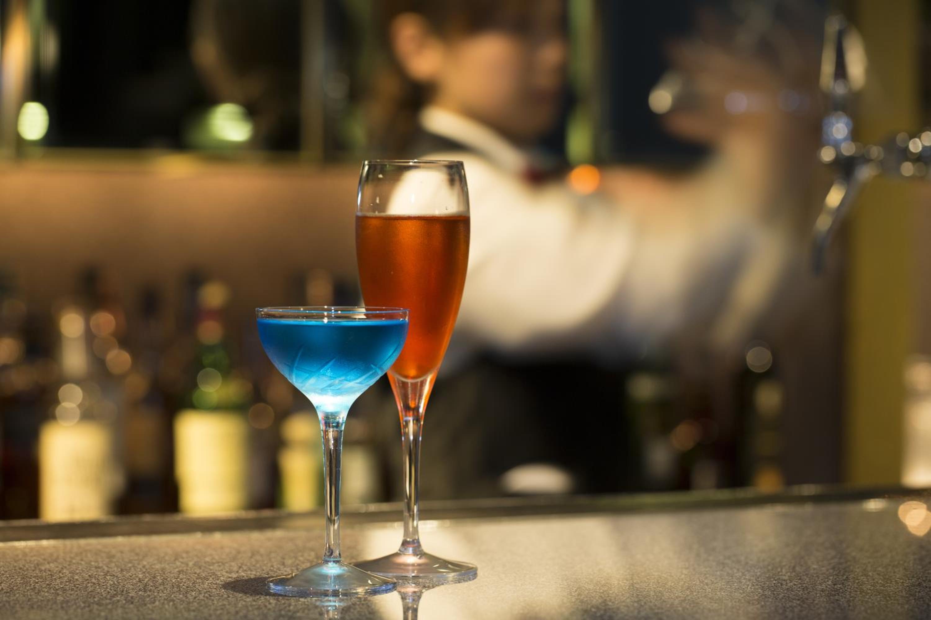 Hotel Nikko Osaka 15