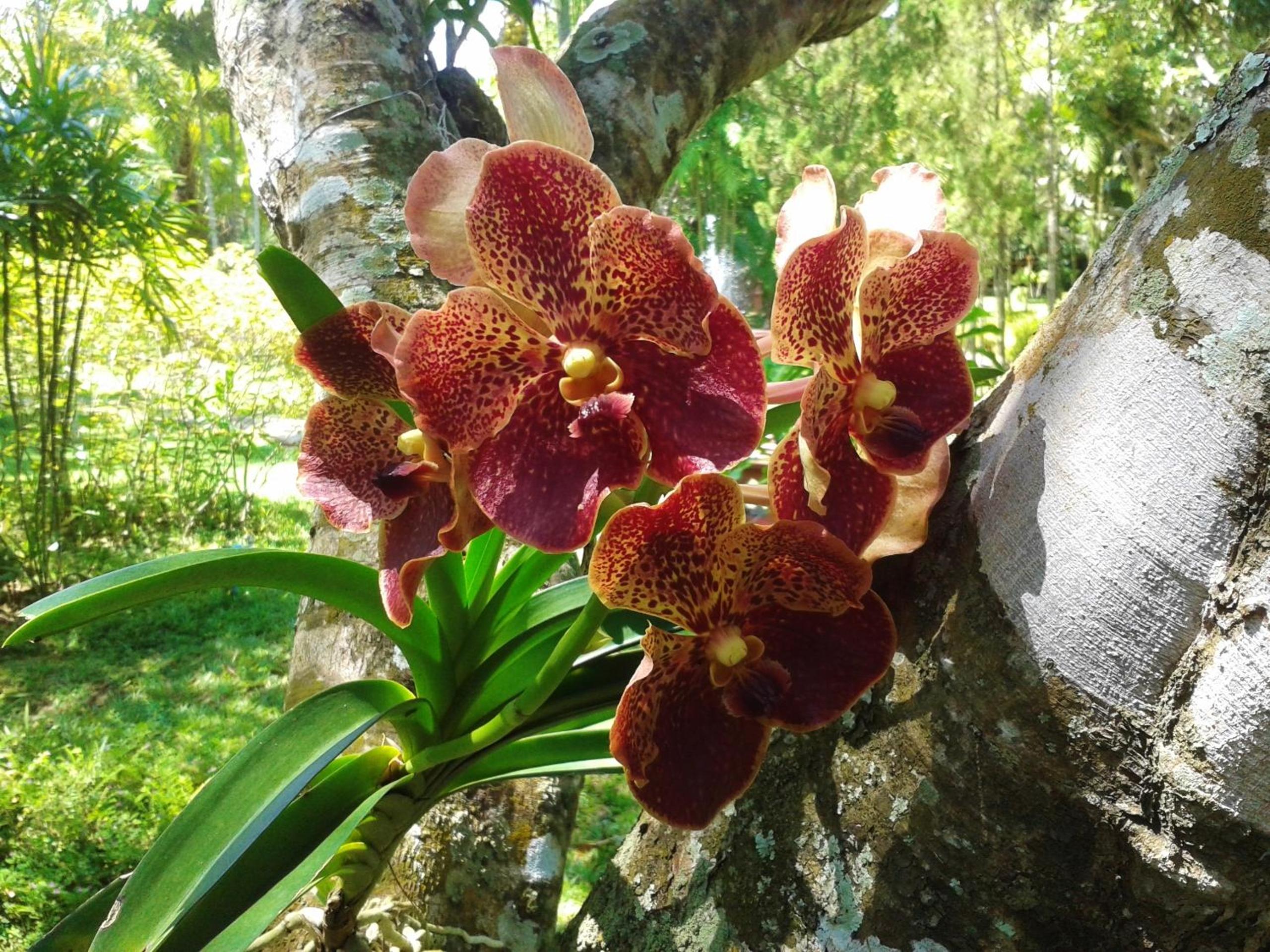 Huan Chiang Dao Resort