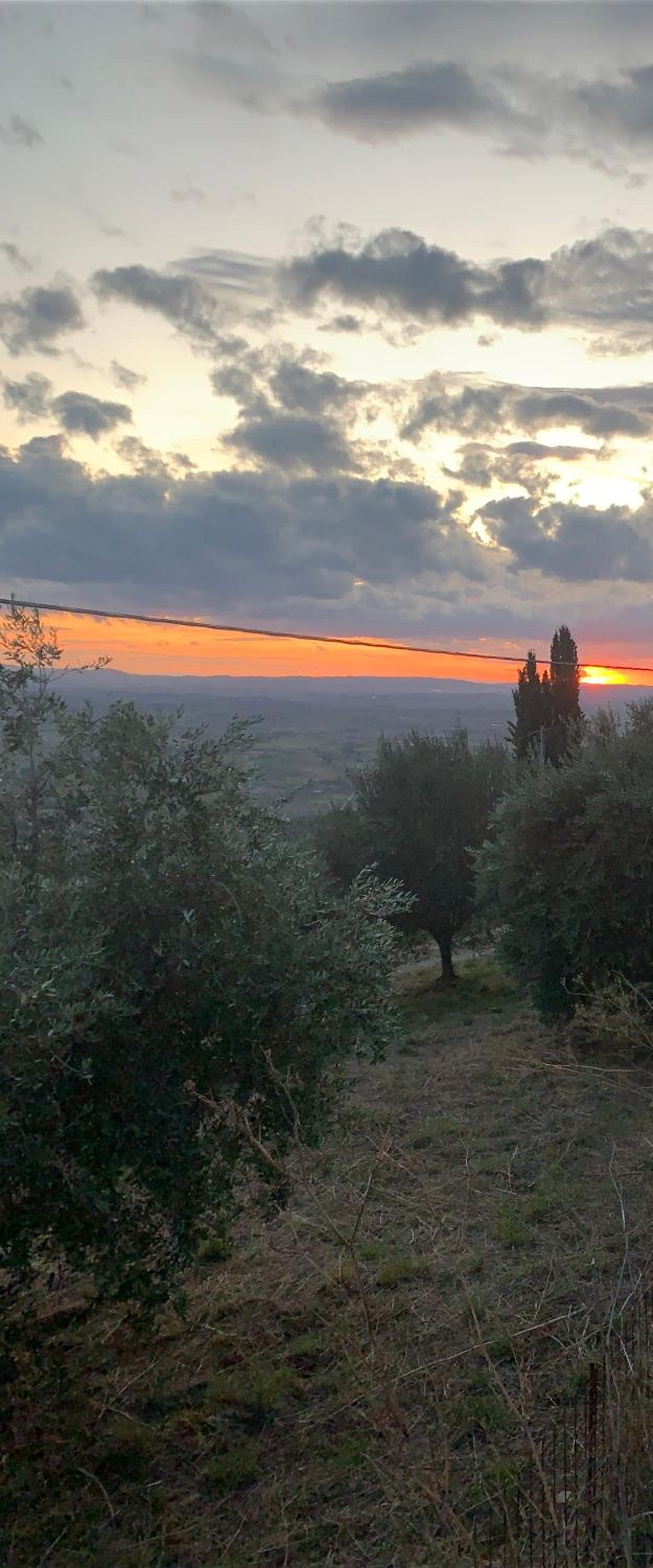 Casa Cara Mia