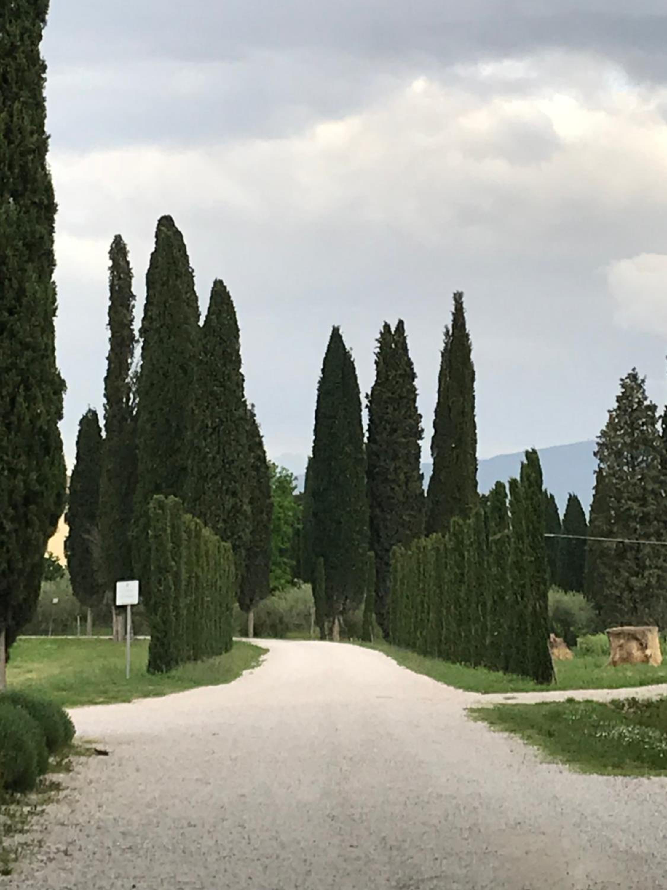 Casa Cara Mia