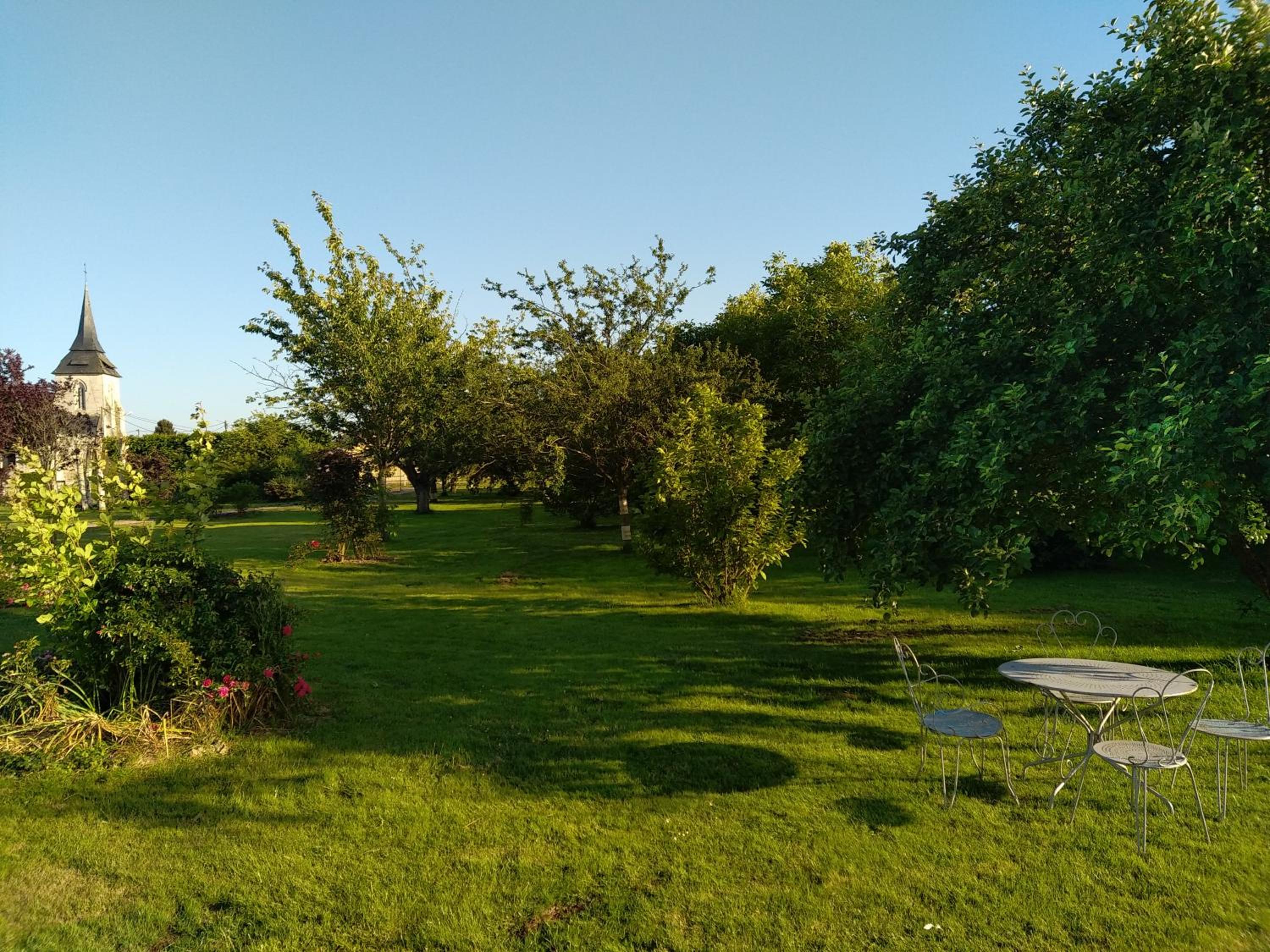 Photo 22