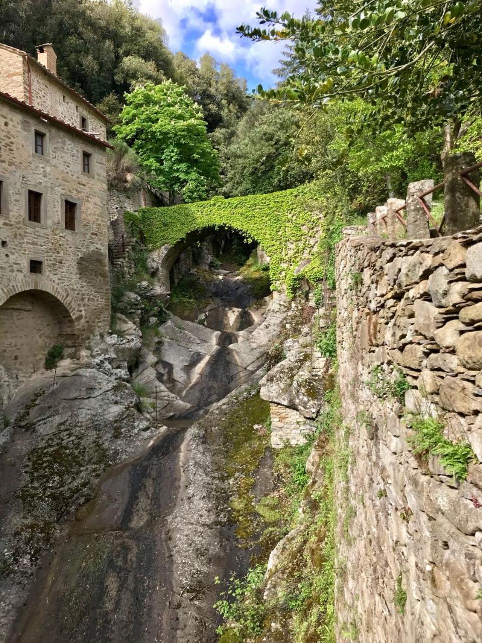 Casa Cara Mia