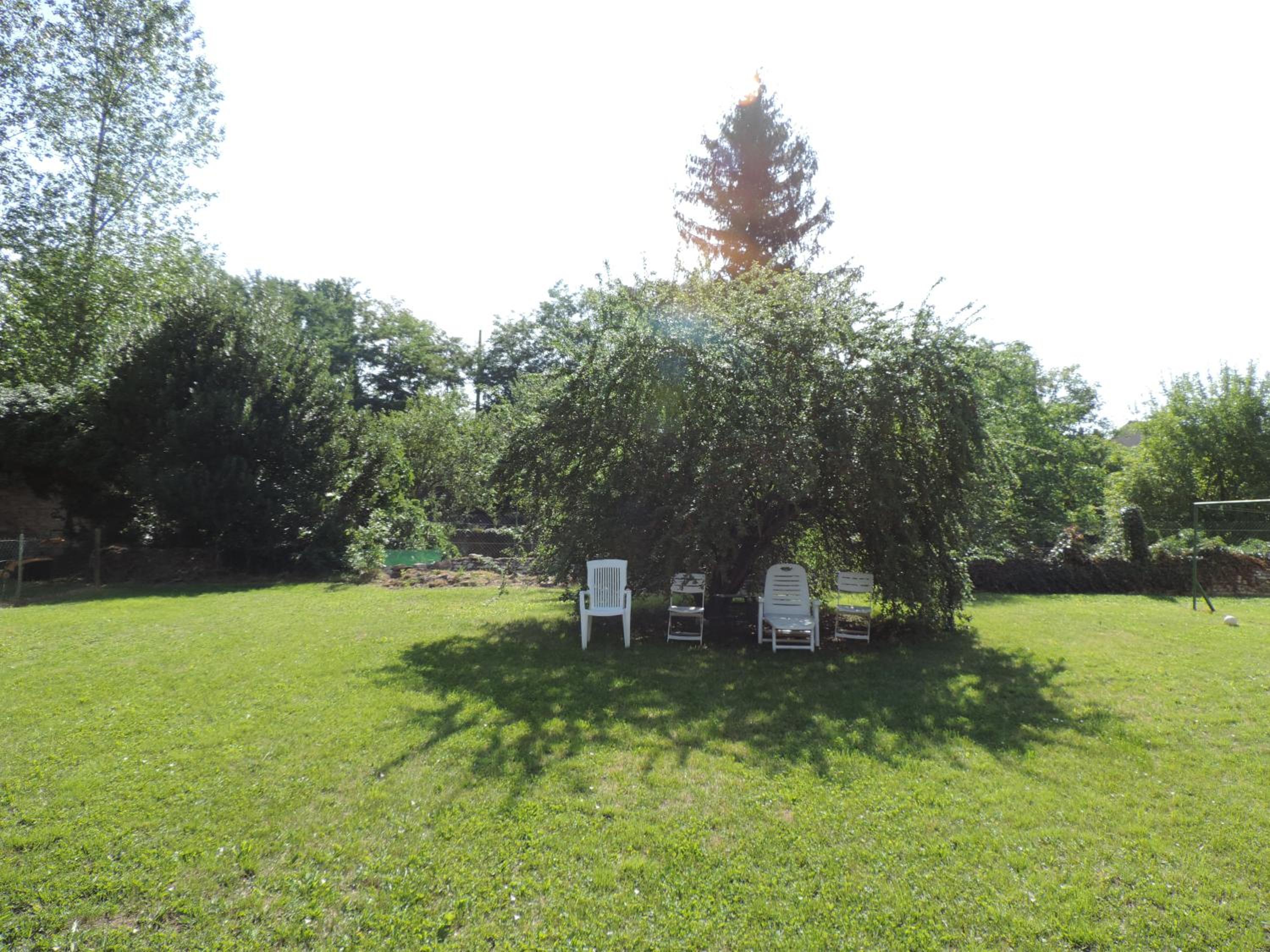 Photo 47