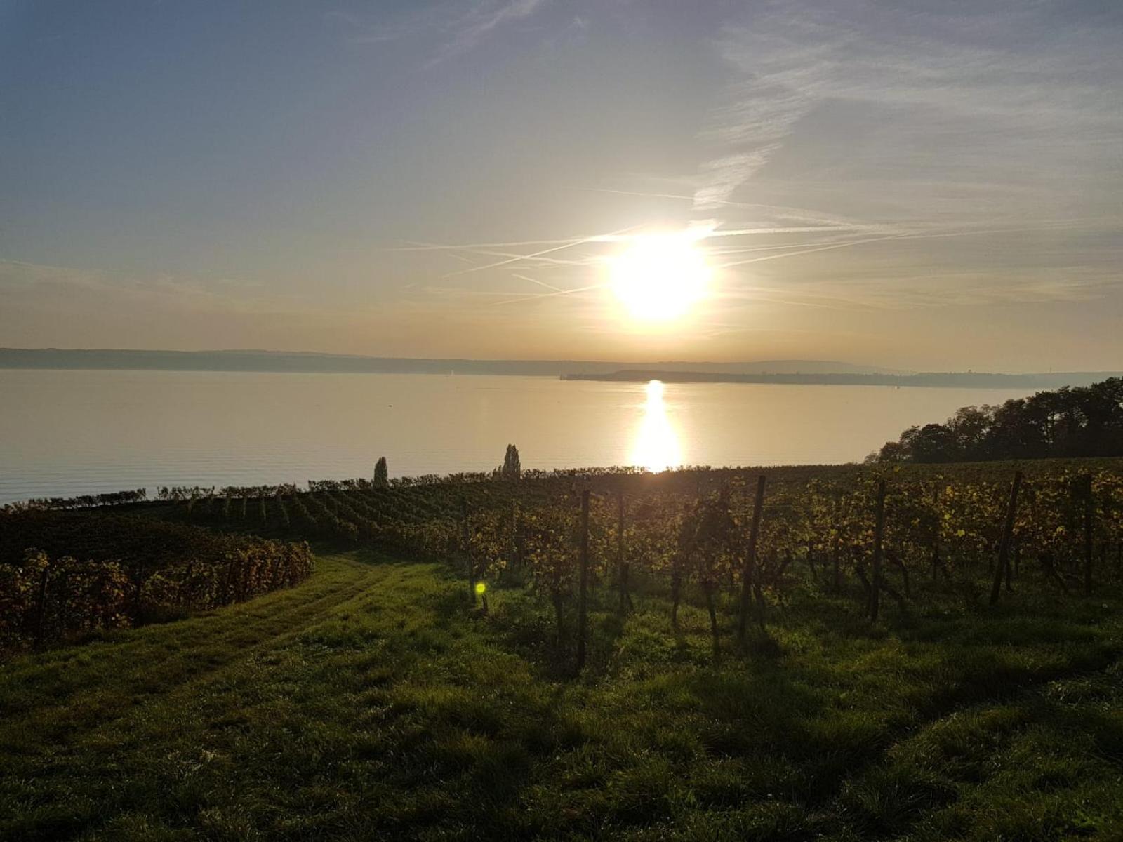 Schöne Stadtwohnung in Friedrichshafen am Bodensee