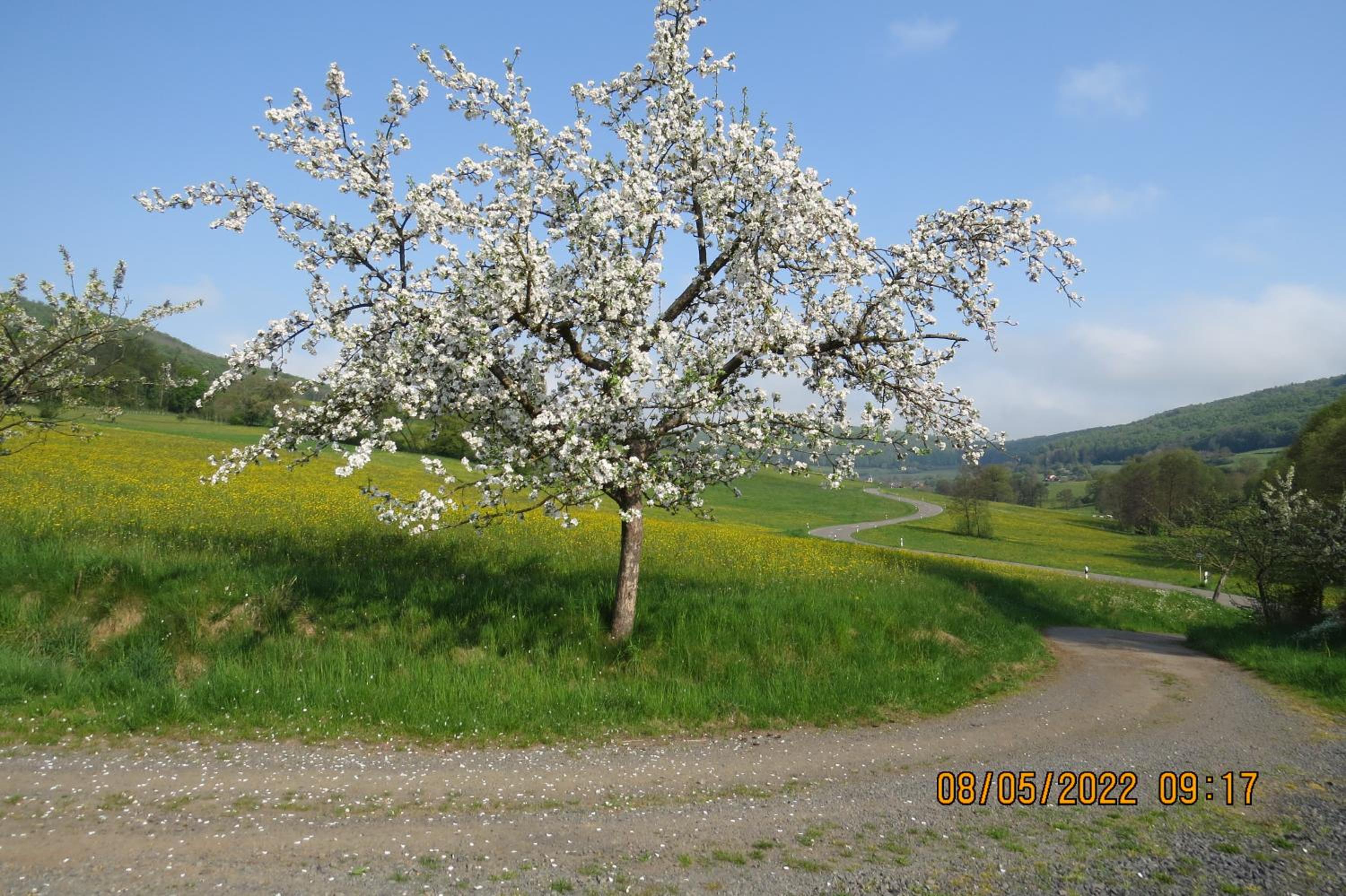 Ferienwohnung Rhön