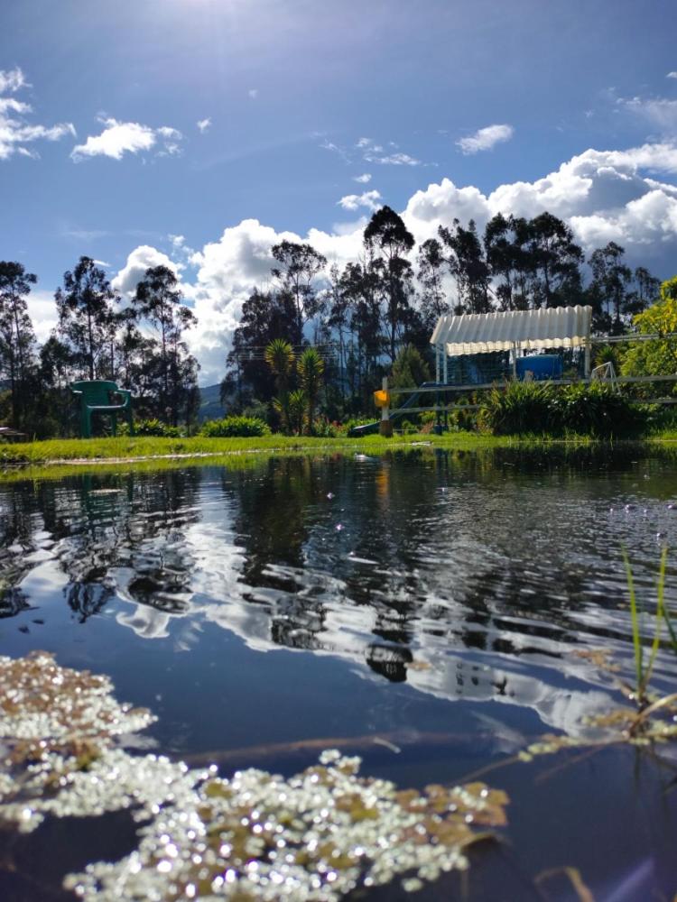 Naturaleza Muisca
