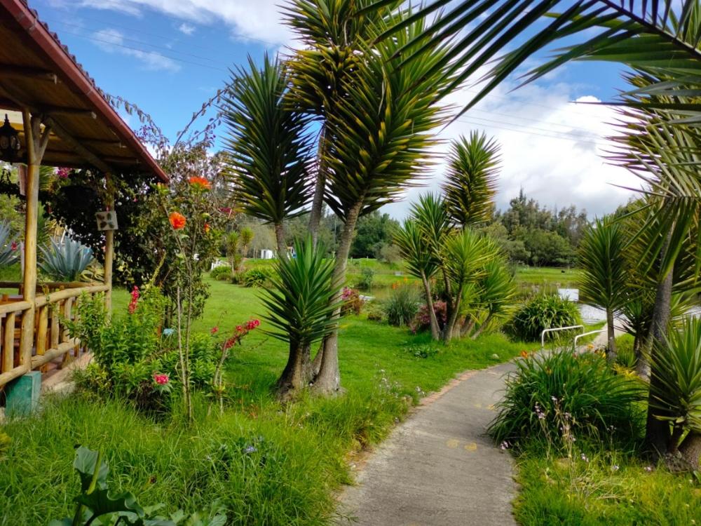 Naturaleza Muisca