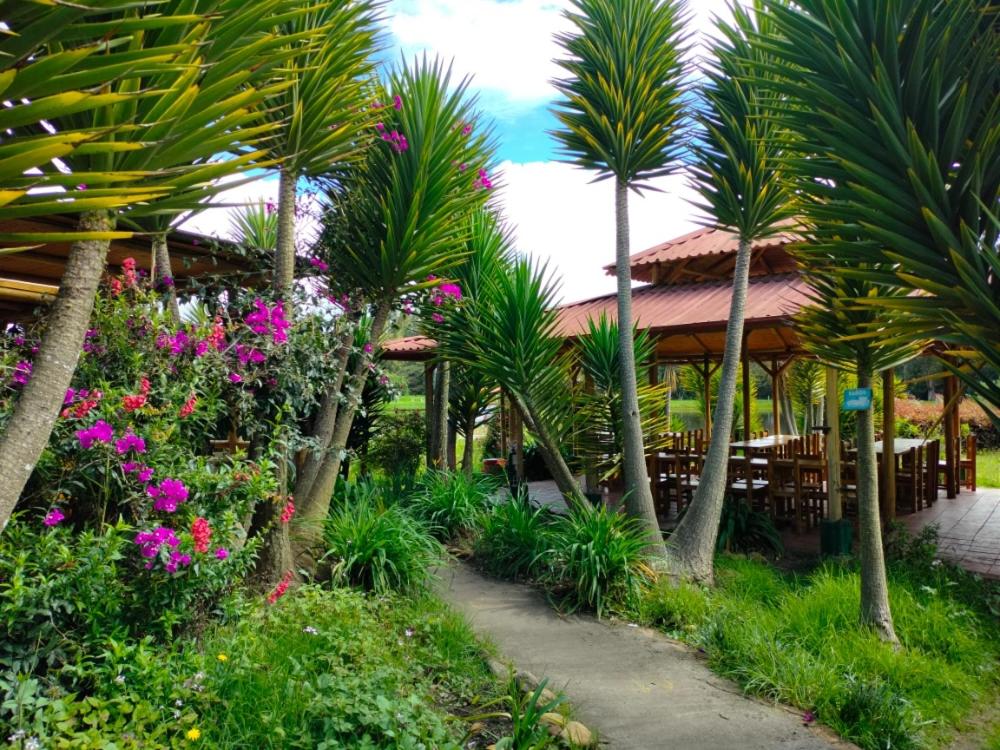 Naturaleza Muisca