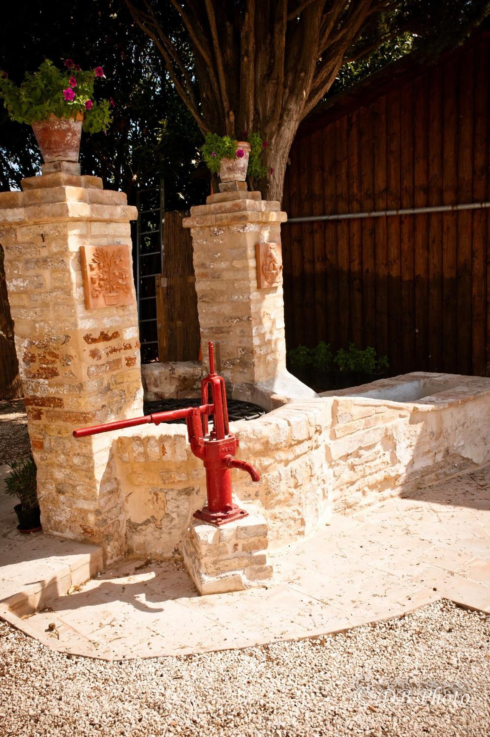 Maison de campagne La Cipolla D'oro, Photo 5