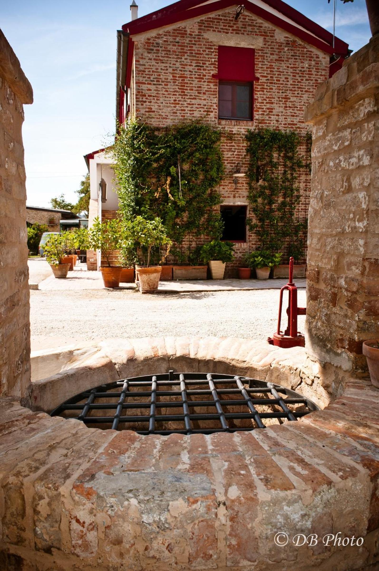 Maison de campagne La Cipolla D'oro, Photo 24