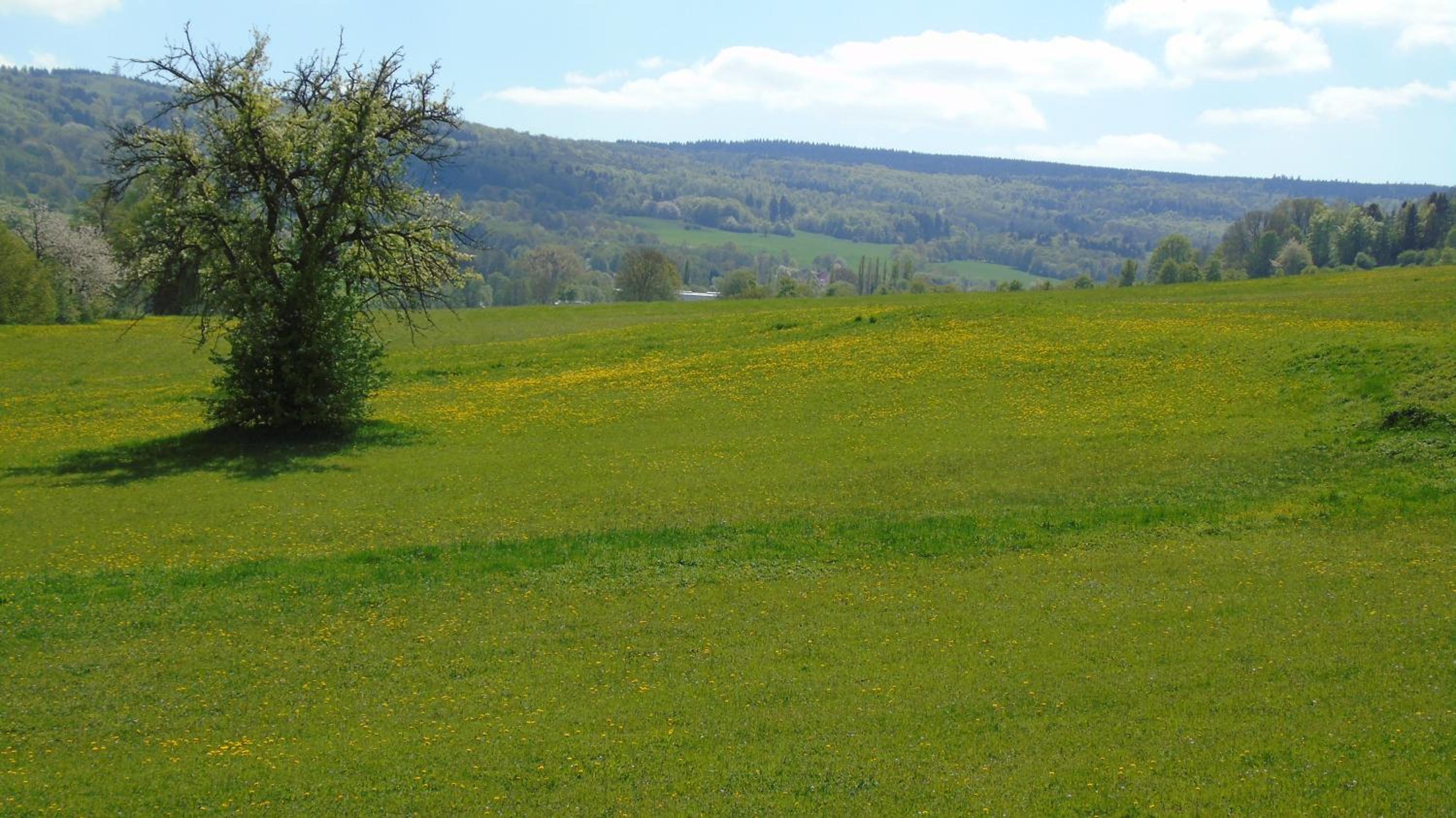 Ferienwohnung Rhön
