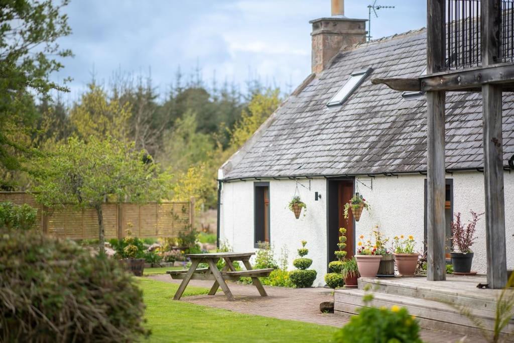 Cosy & rustic retreat - Woodland Cottage. view 2