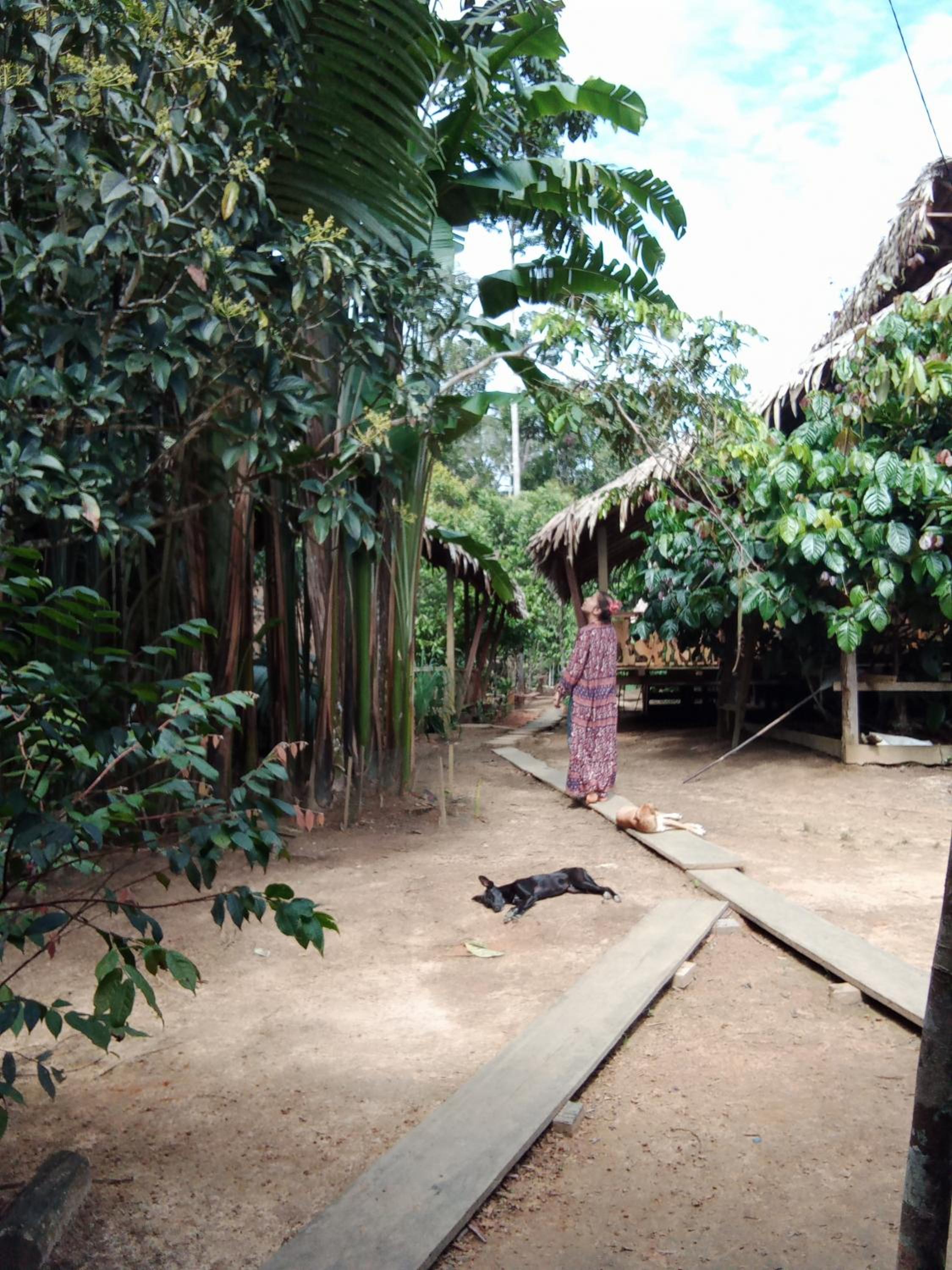 children's play area