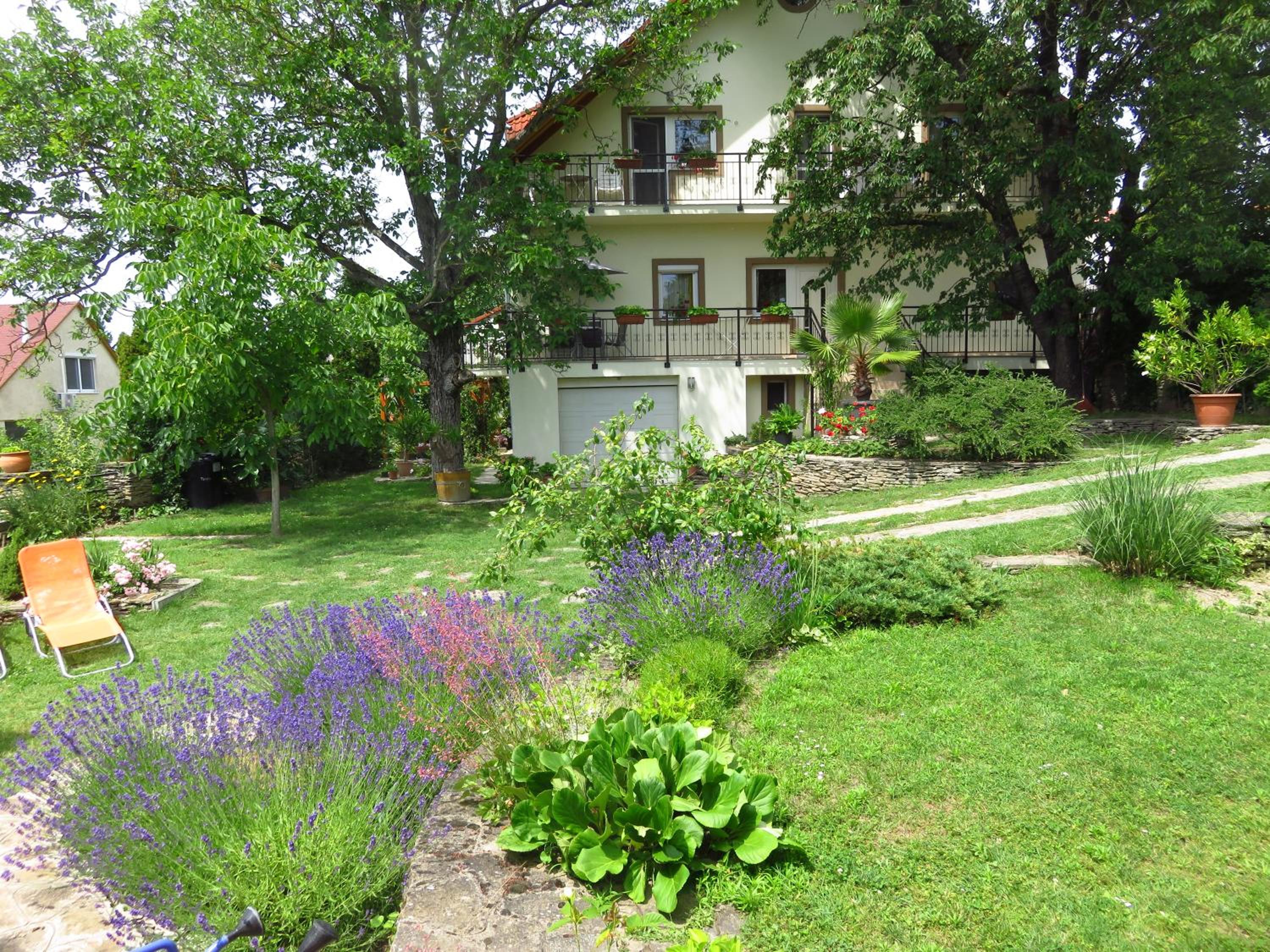 Photo 45