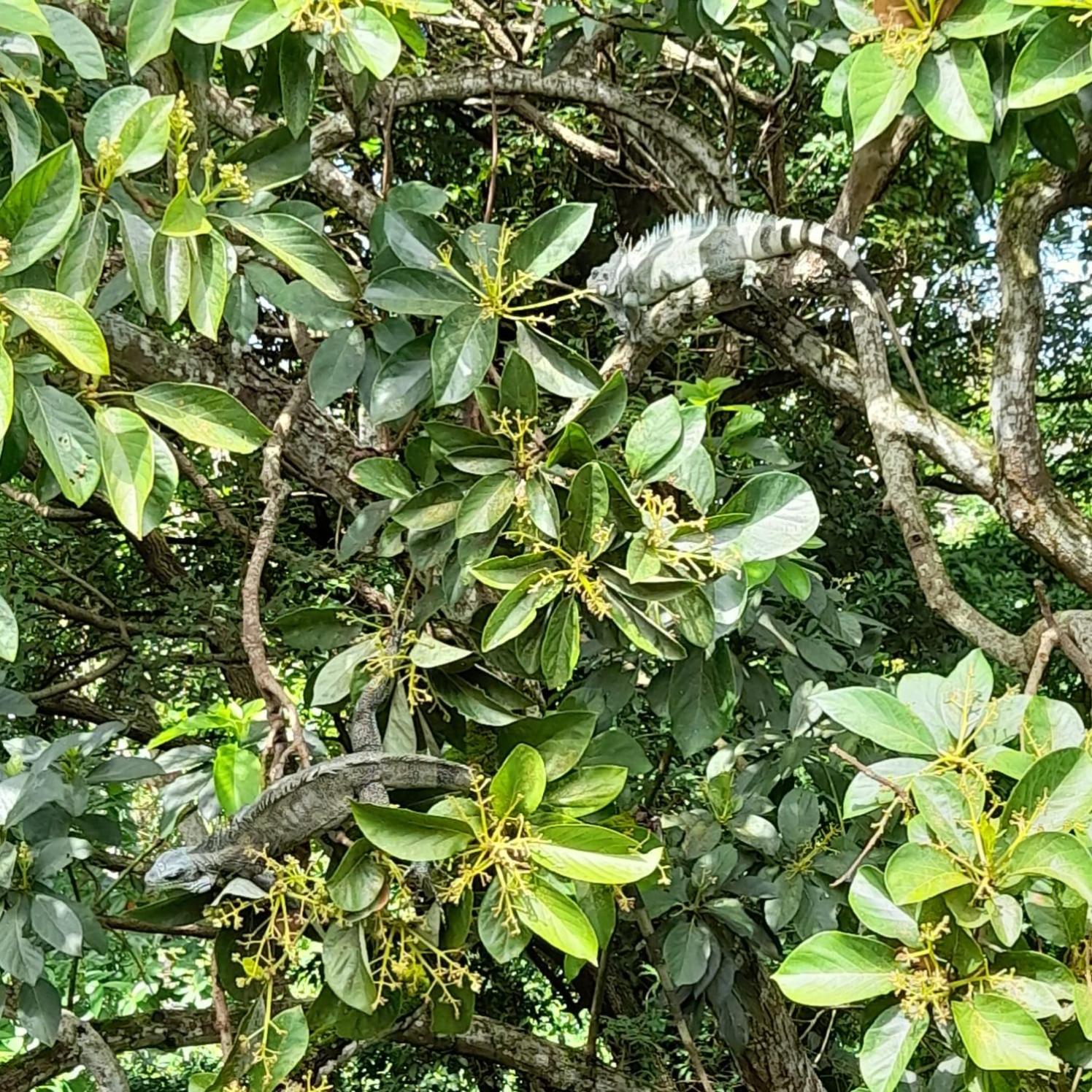 Photo 17