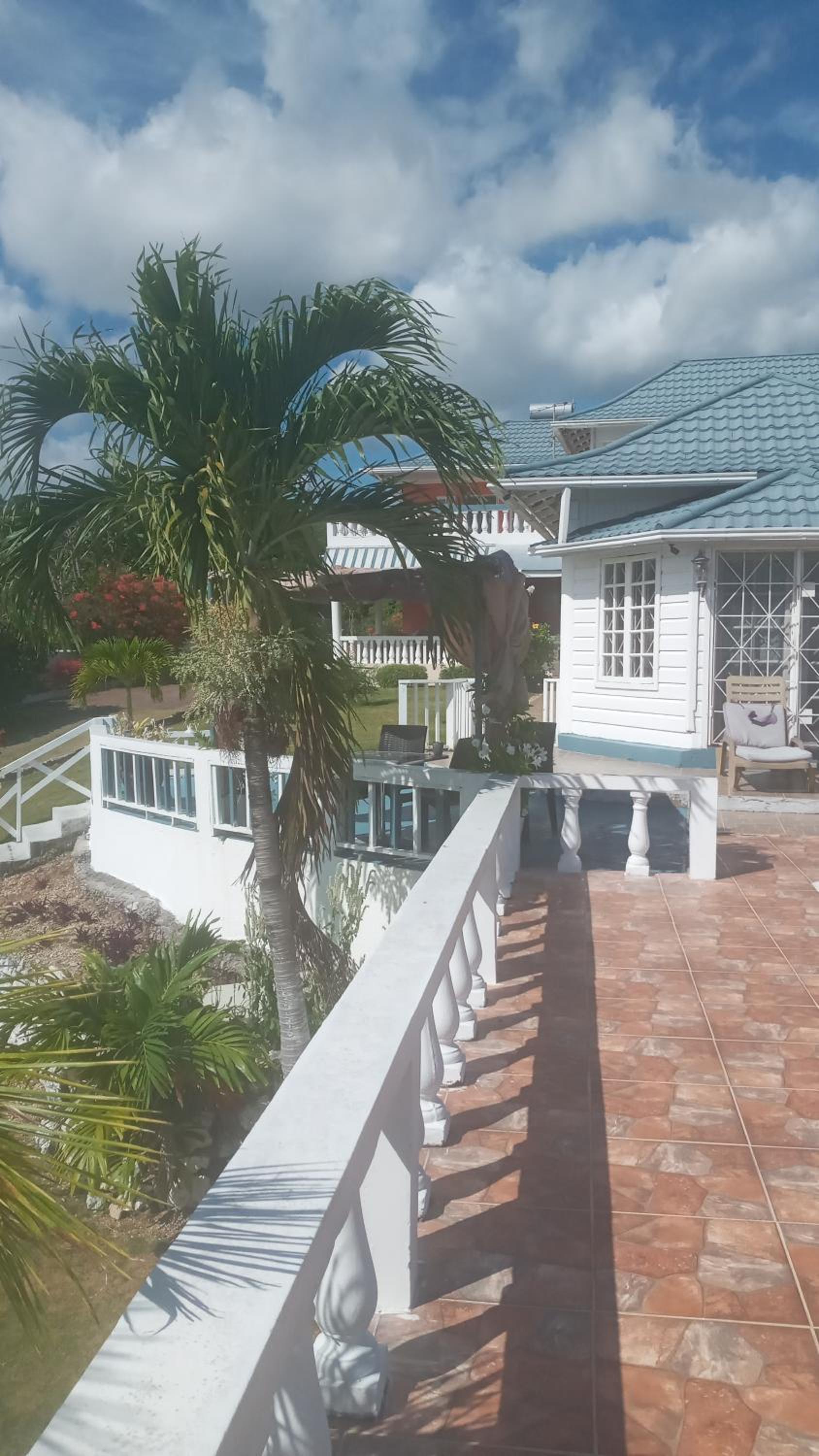 Sunflower Nest