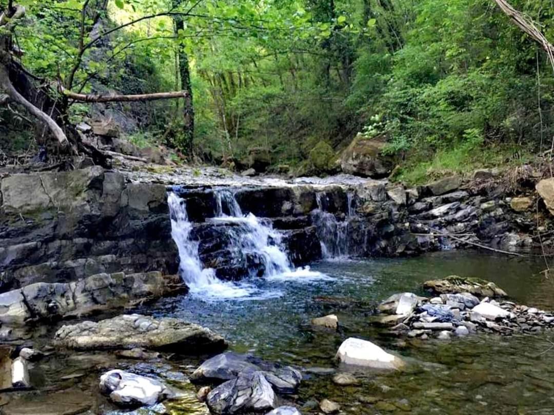 Casa nel bosco il Grottone