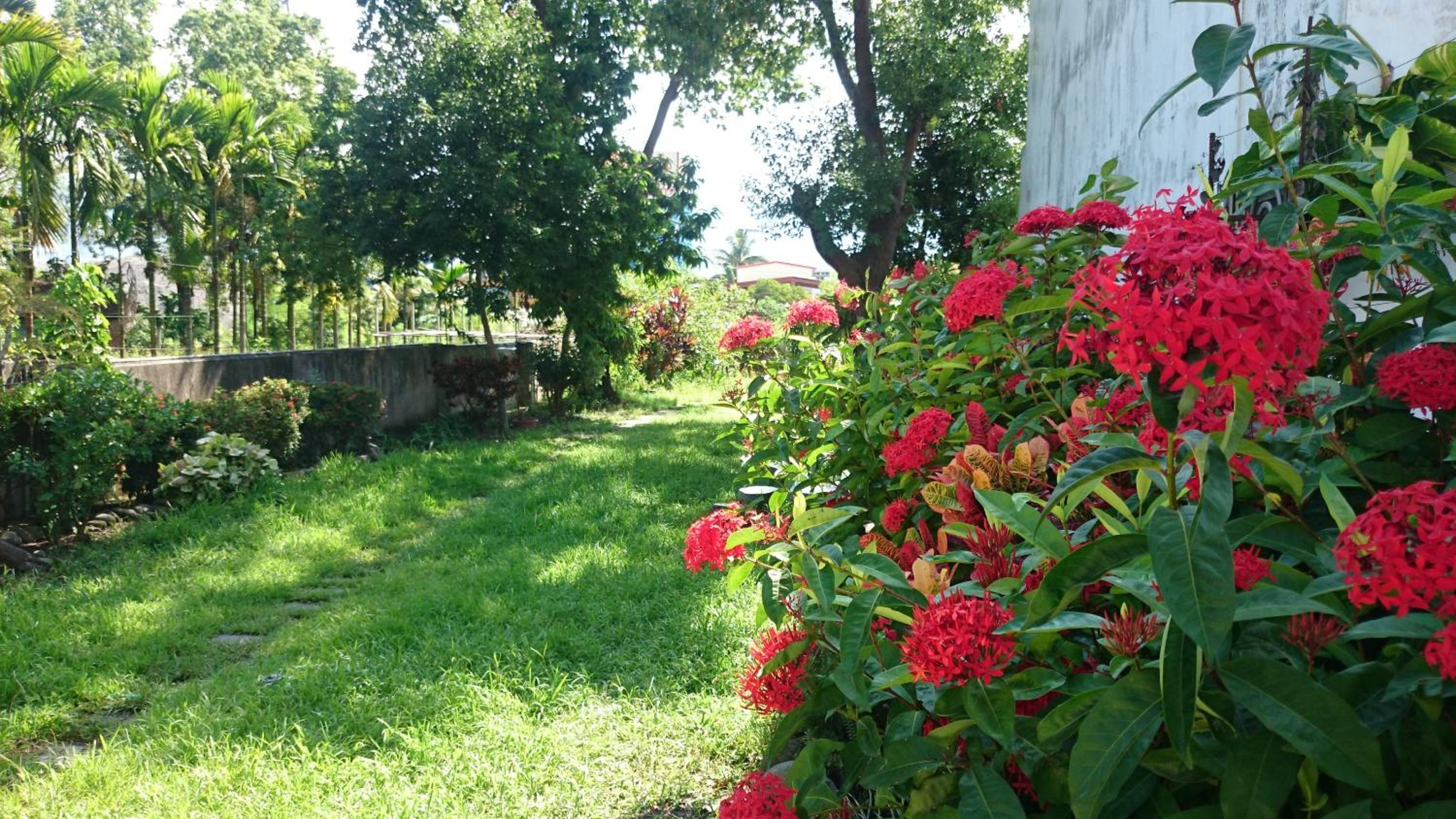 Photo 41