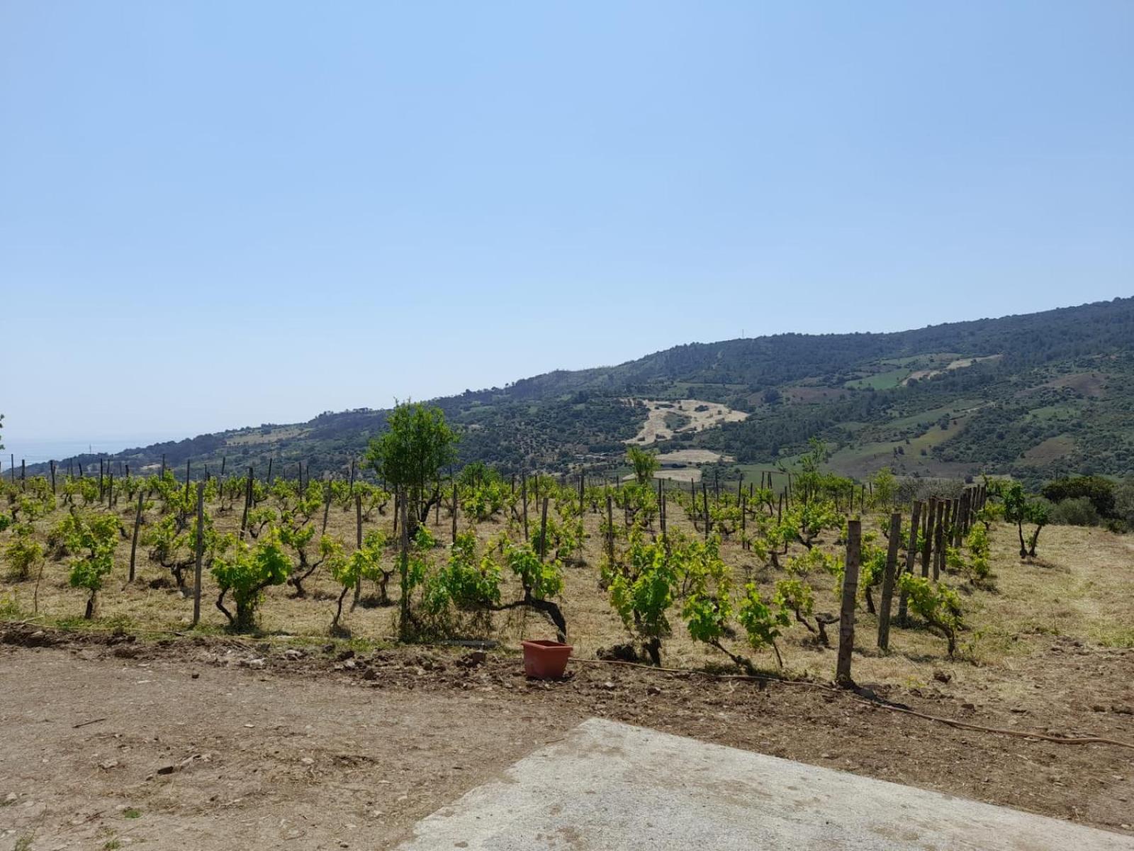 Villa Paradiso en Montegiordano — other