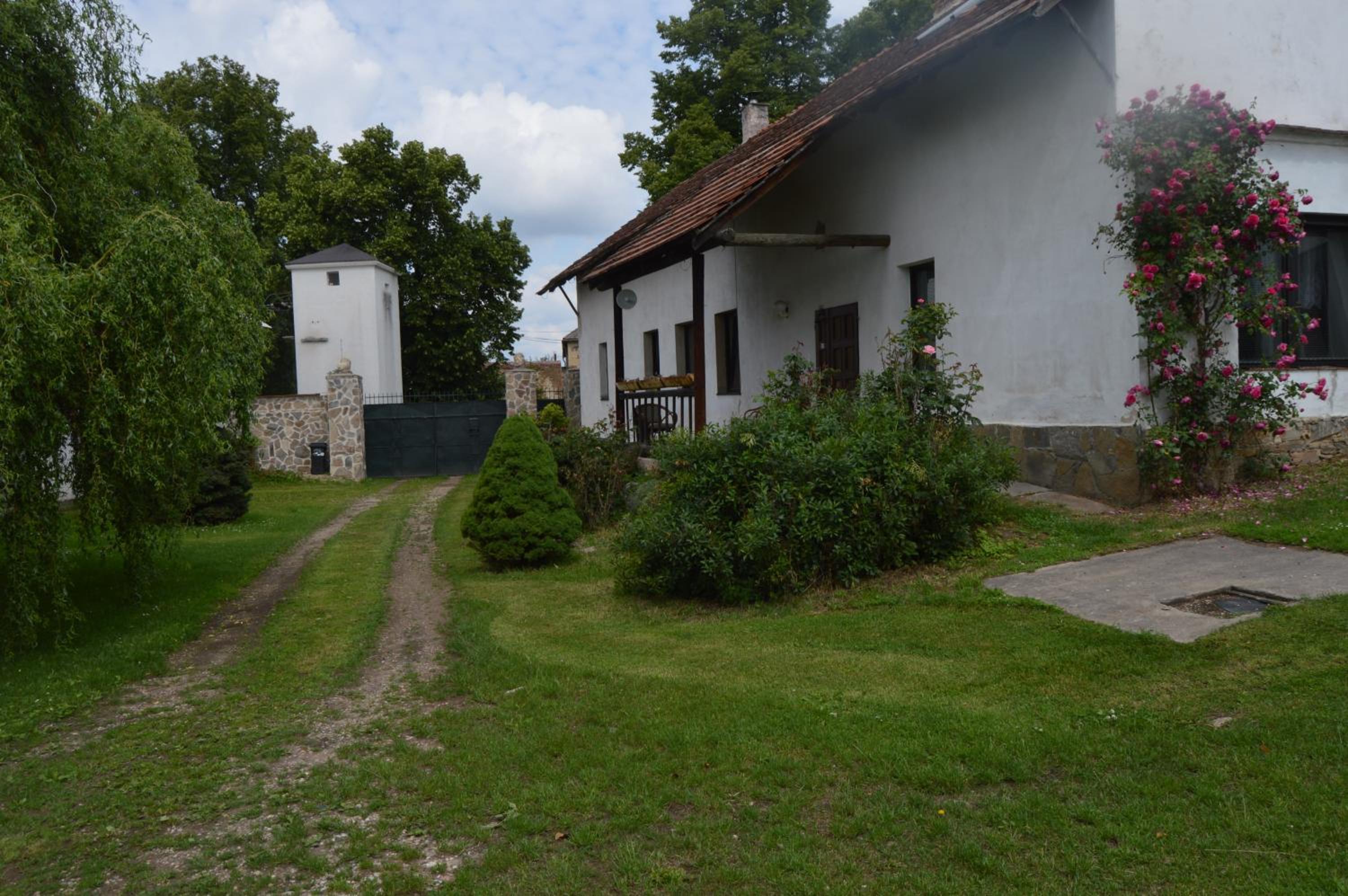 Photo 7
