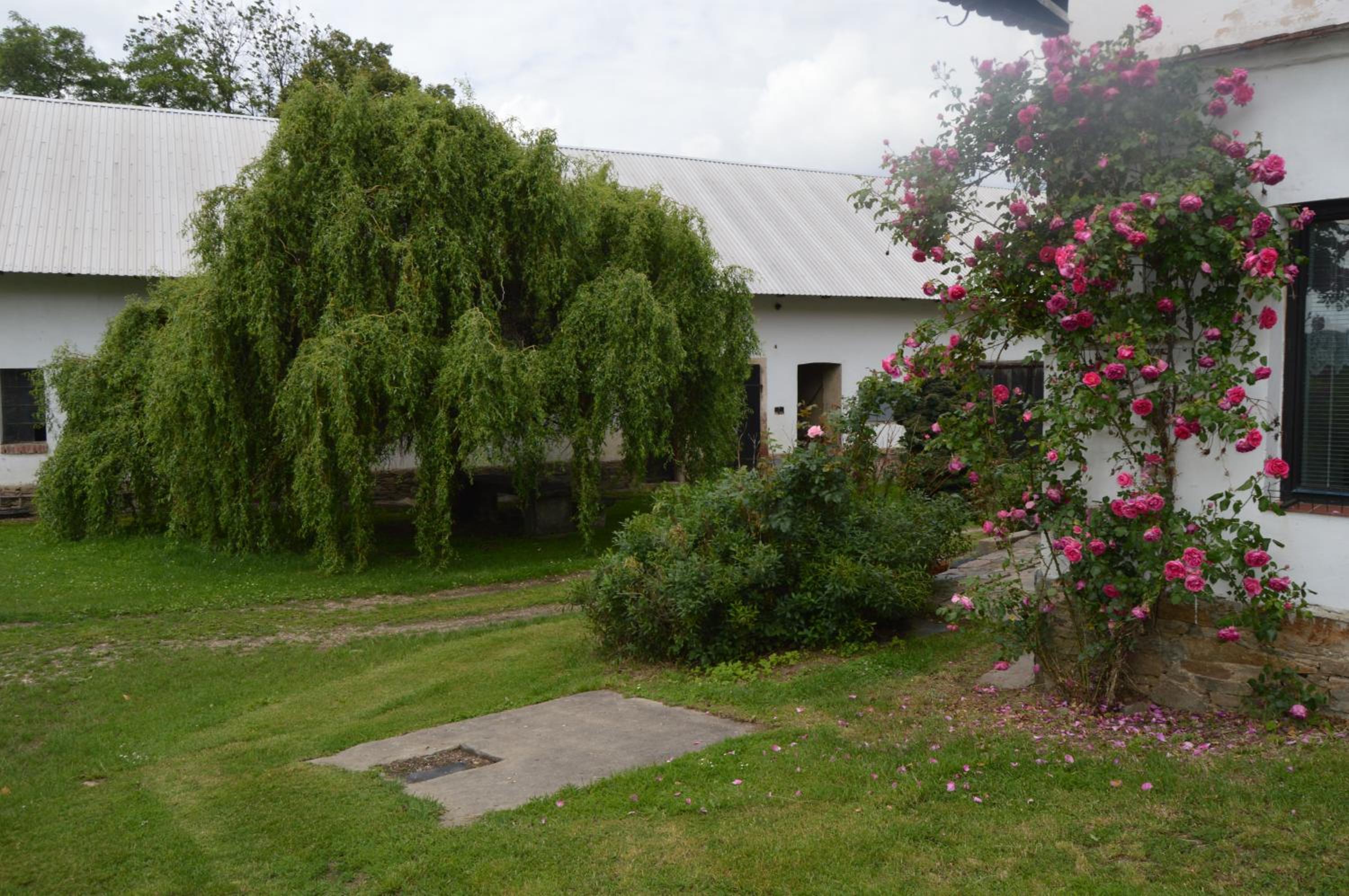 Photo 27