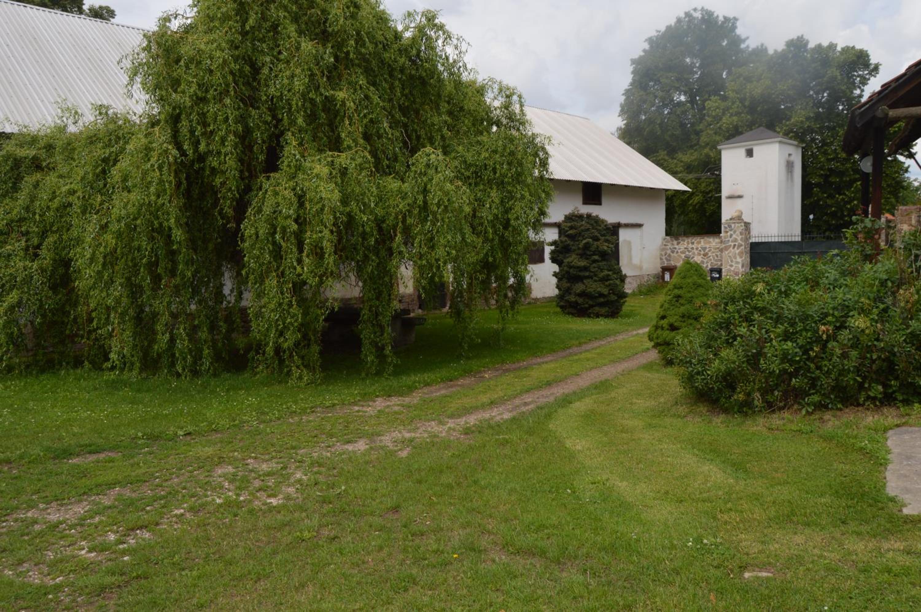 Photo 29