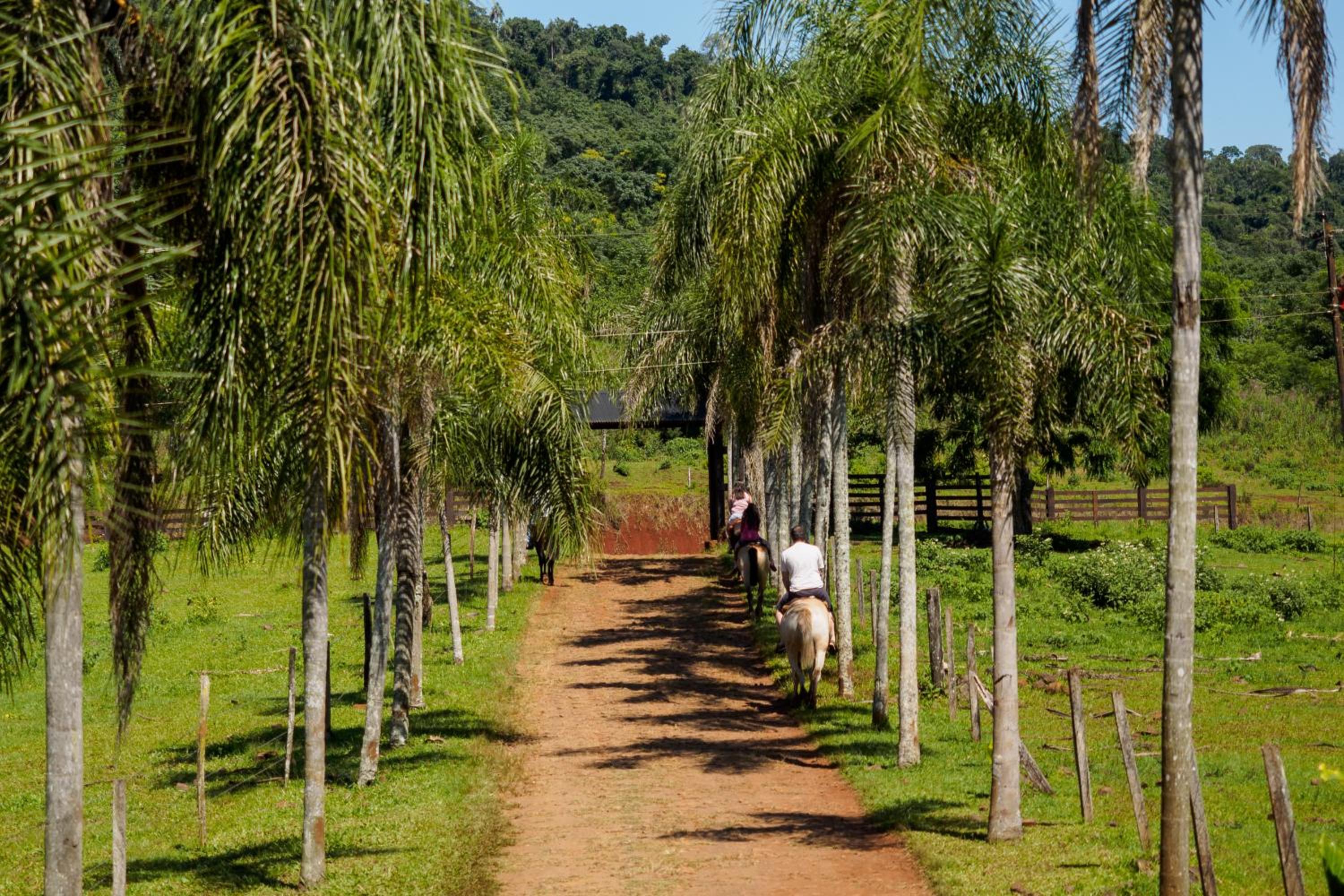 Reserva La Mision Mocona - Solo Adultos