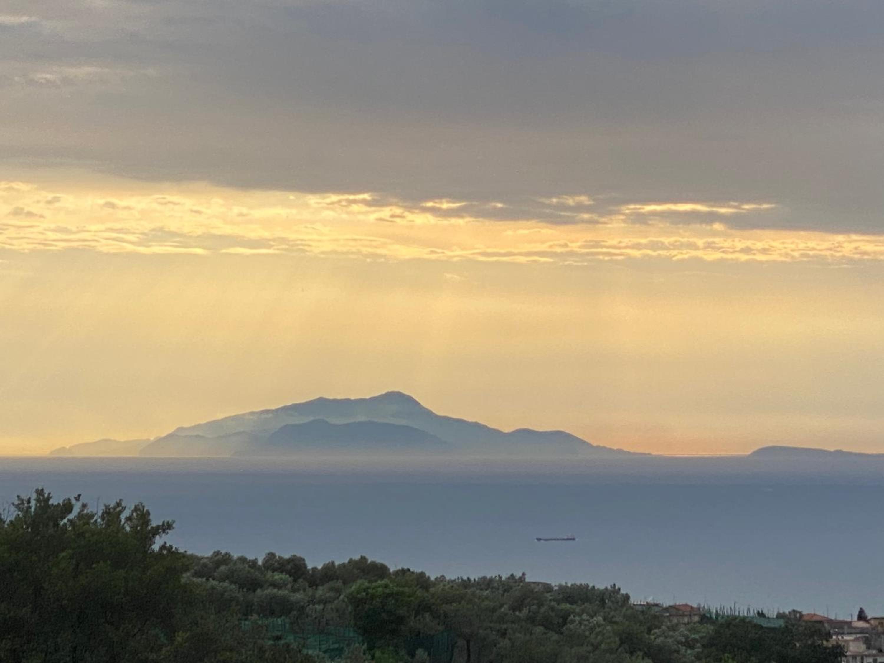 Firefly Home Sorrento