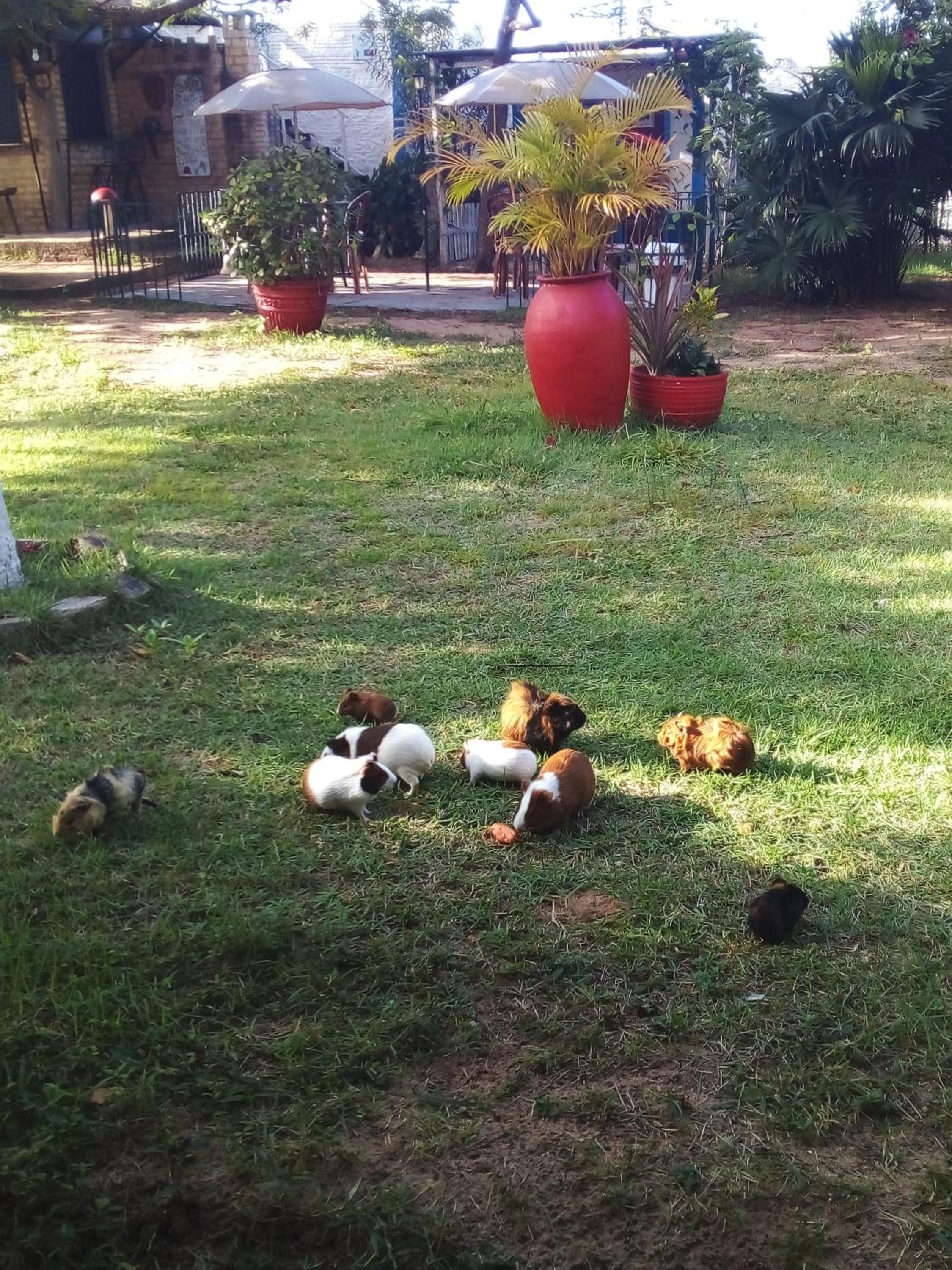 Photo 23
