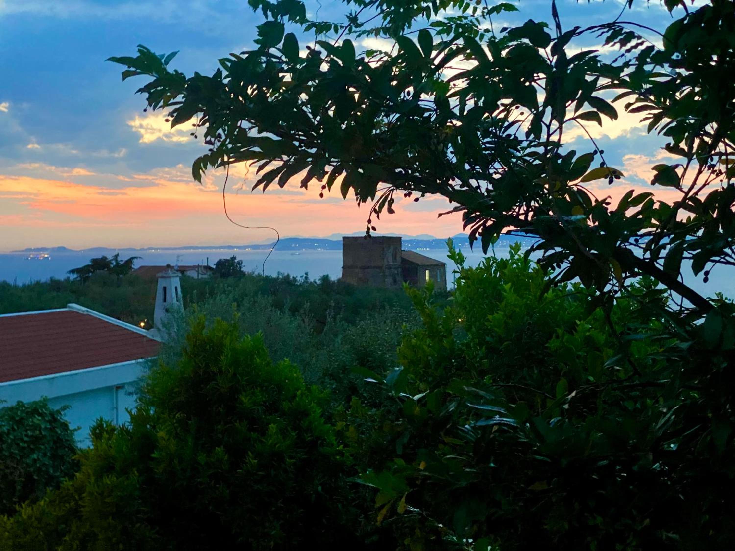 Firefly Home Sorrento