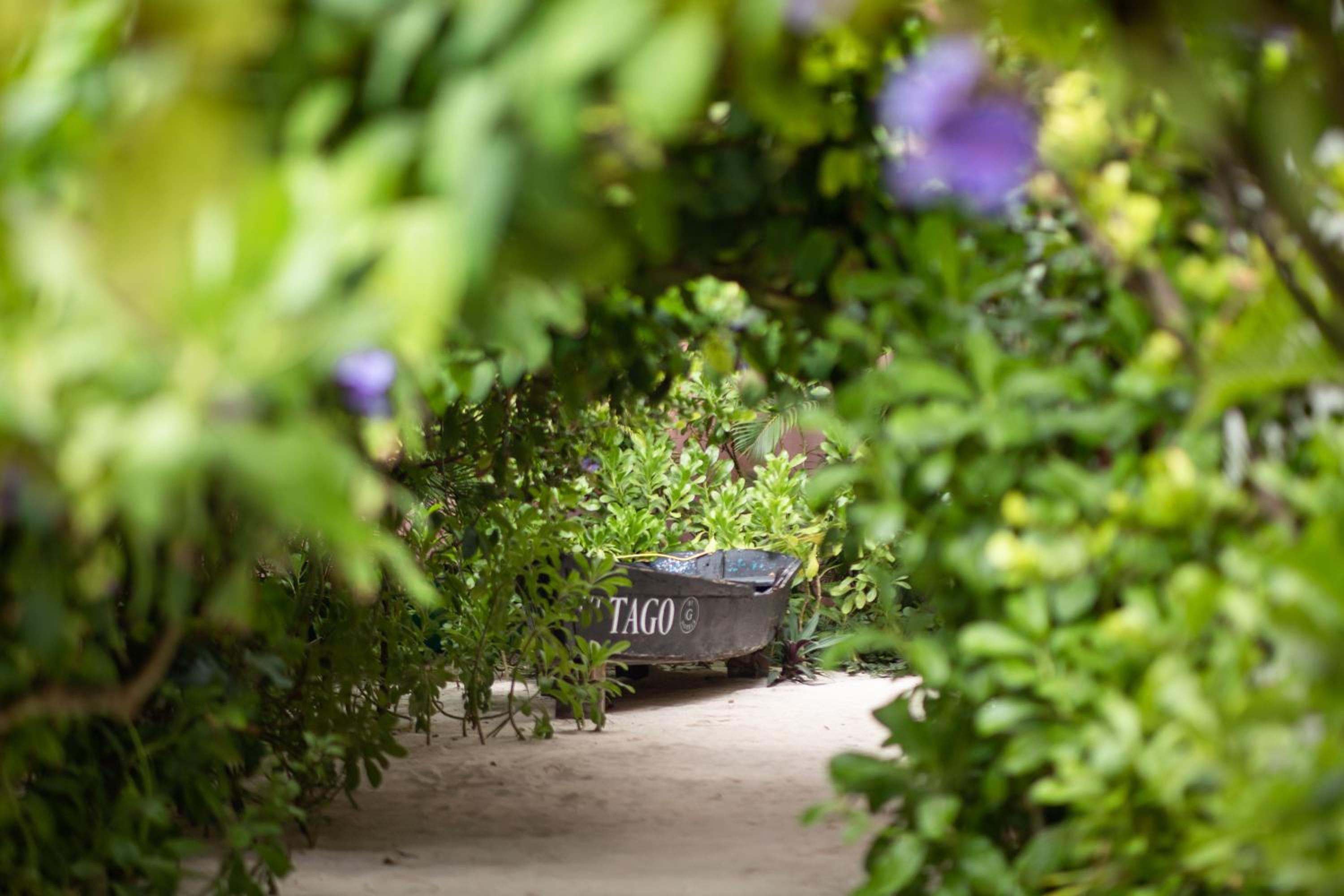 Tago Tulum by G Hotels - Property Image 52