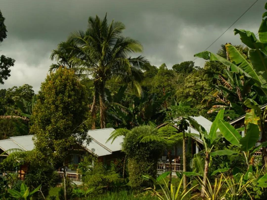 The Geckos Homestay