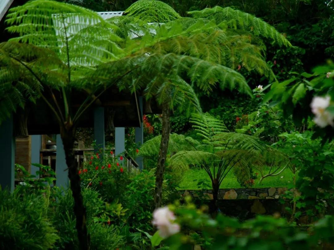 The Geckos Homestay