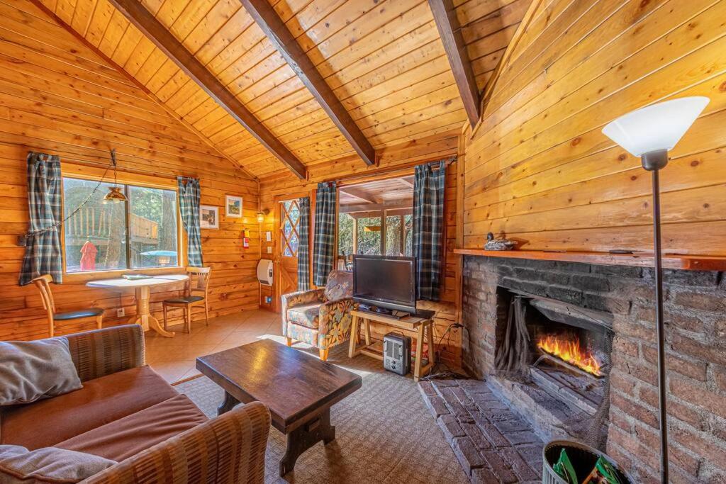 Forest Cabin 1 Hunters Blind view 5
