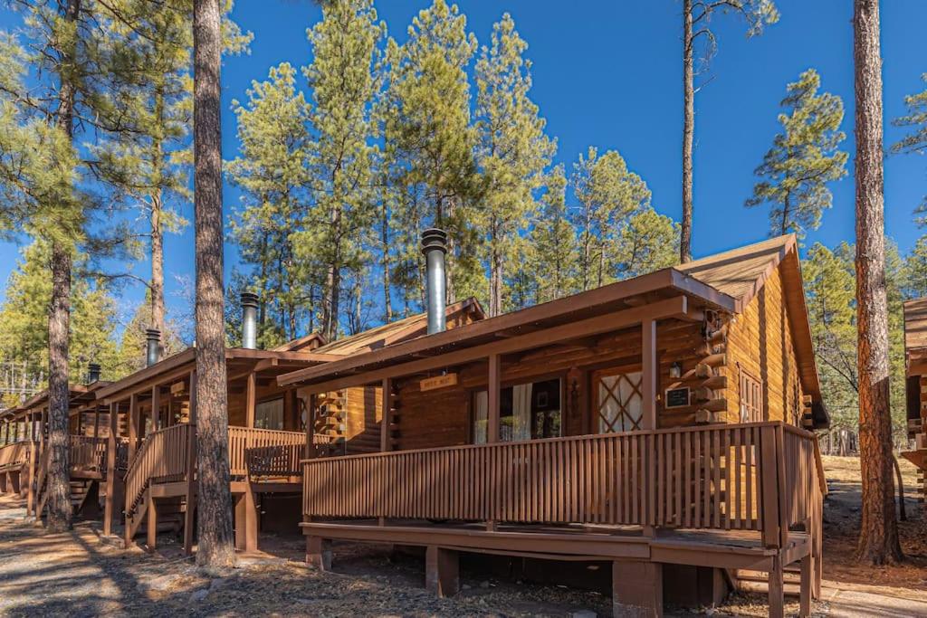 Payson Vacations - Forest Cabin 2 Birds Nest - Property Image 1