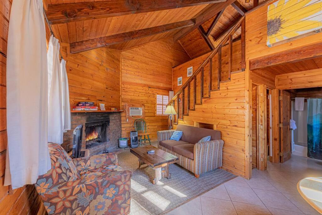 Forest Cabin 2 Birds Nest view 4