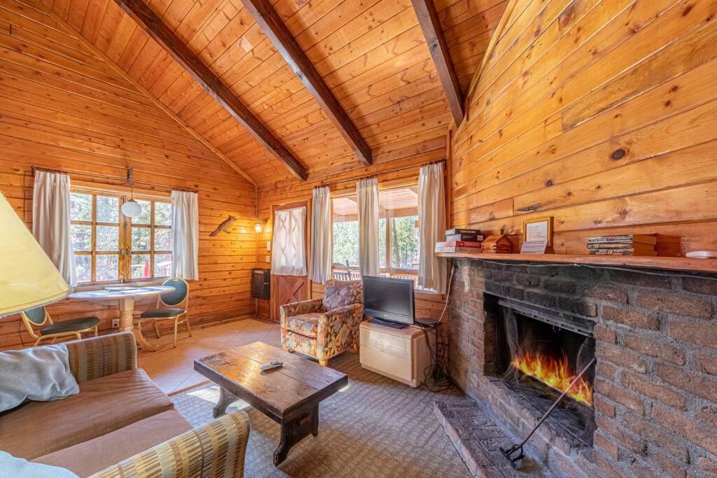 Forest Cabin 2 Birds Nest view 5