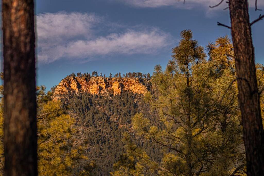 Payson Vacations - Forest Cabin 5 Old Glory - Property Image 6