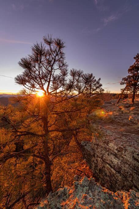 Payson Vacations - Unique forest adventure 10 Glamper - Property Image 6