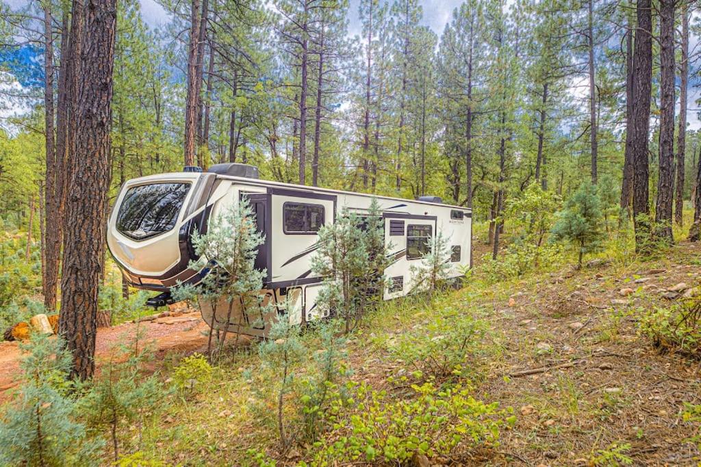 Payson Vacations - Luxury Glamper Retreat 14 Forest Site - Property Image 8