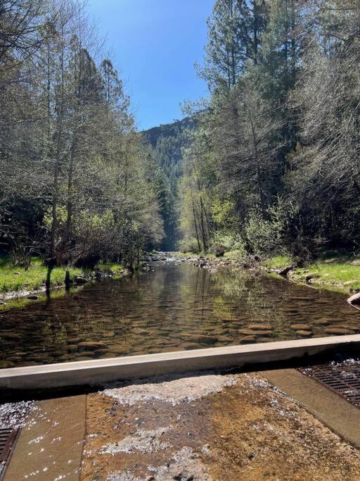 Payson Vacations - Luxury Glamper Retreat 14 Forest Site - Property Image 14