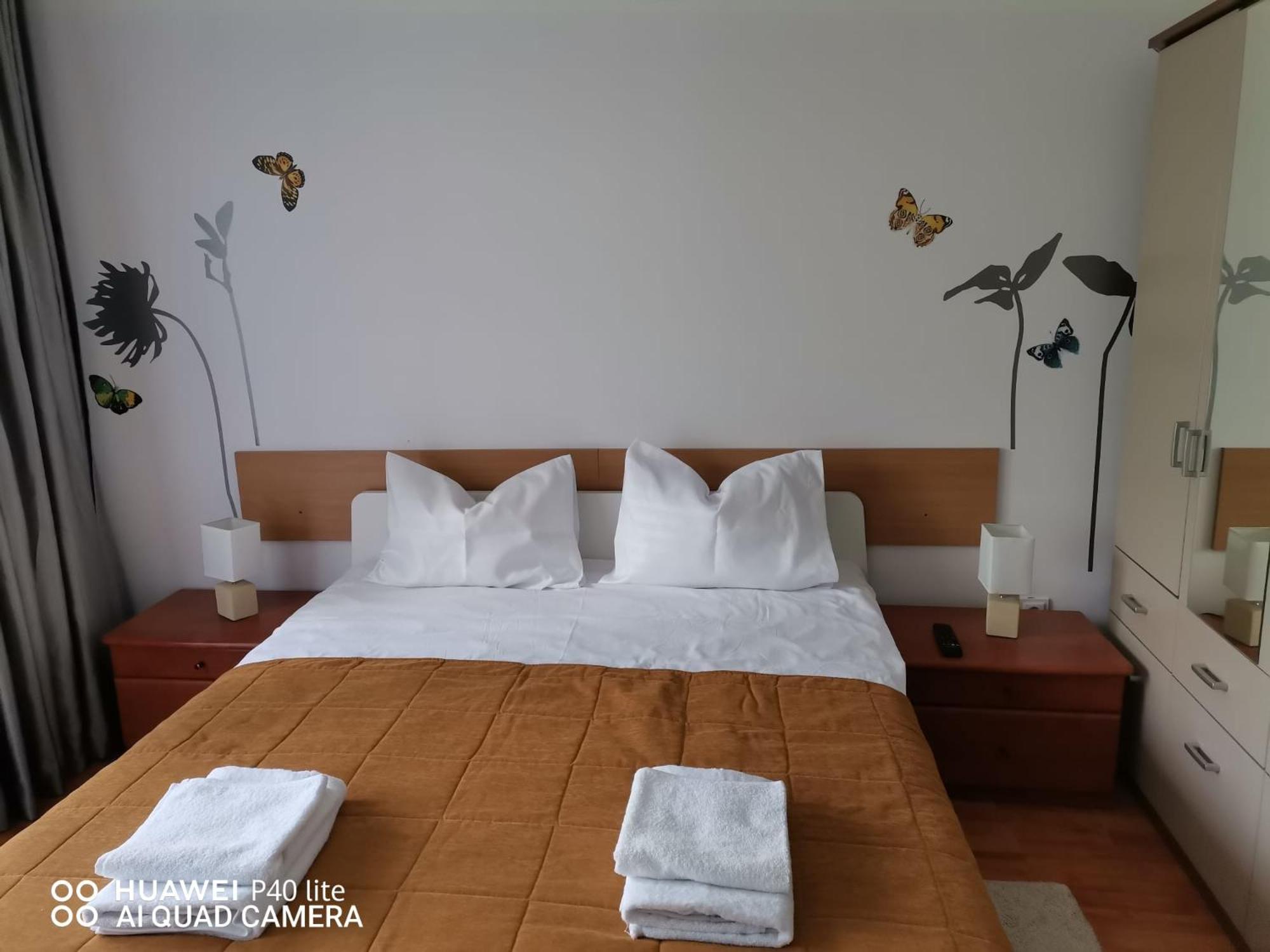 Antonia, Apartament Predeal view 3