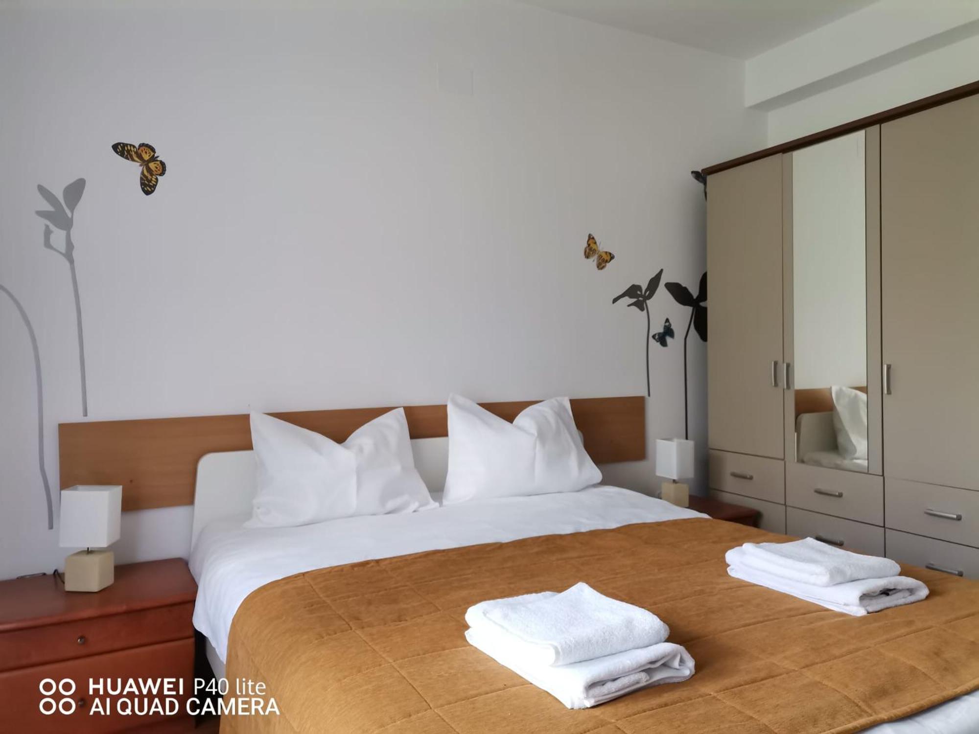 Antonia, Apartament Predeal view 4