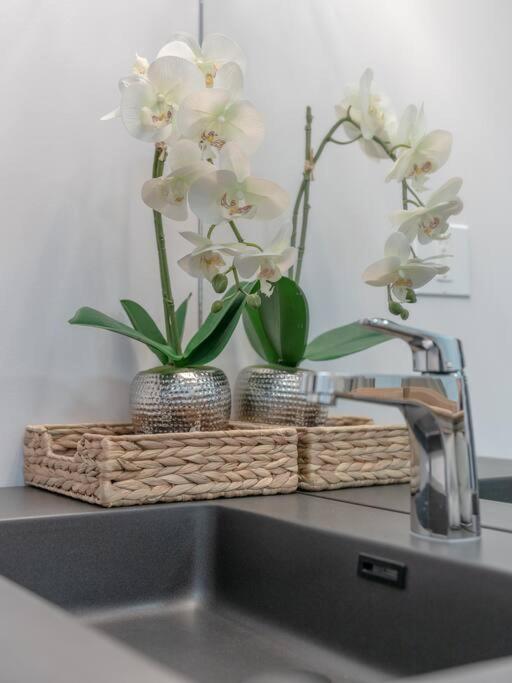 Chic Romantic3bed patio WIFI quiet retreat parking