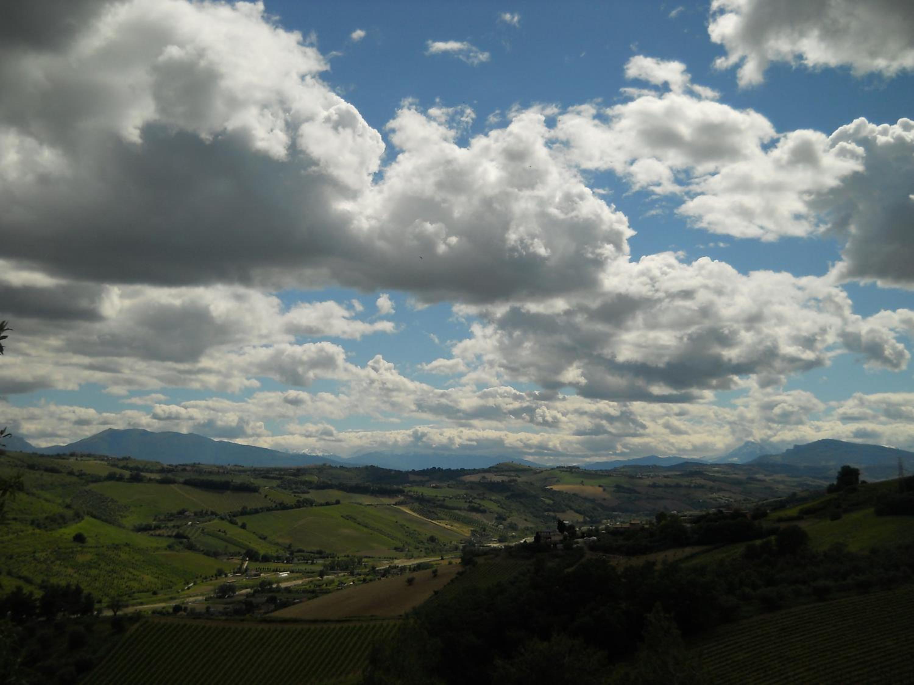 Photo 37