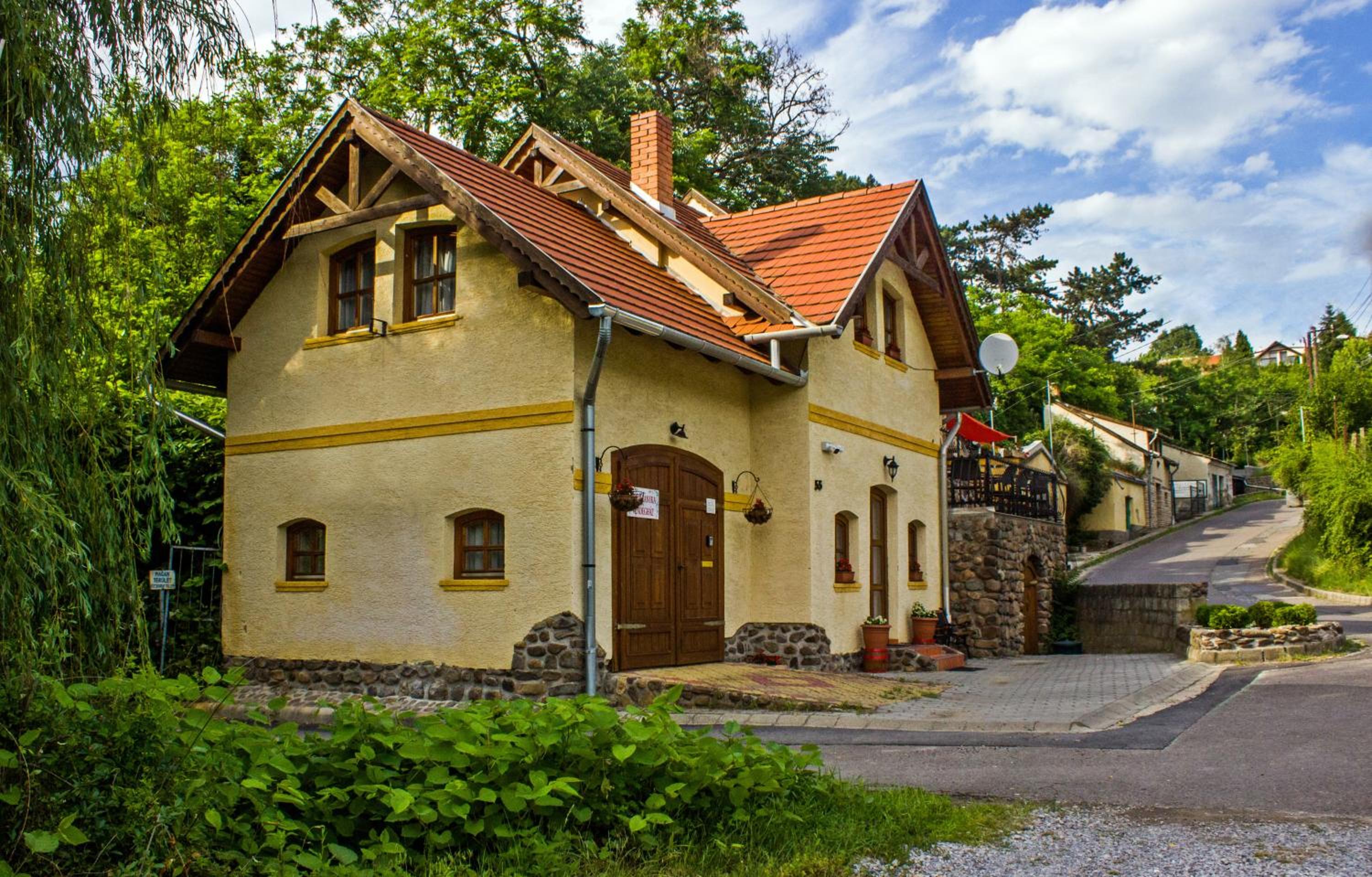 Photo 21