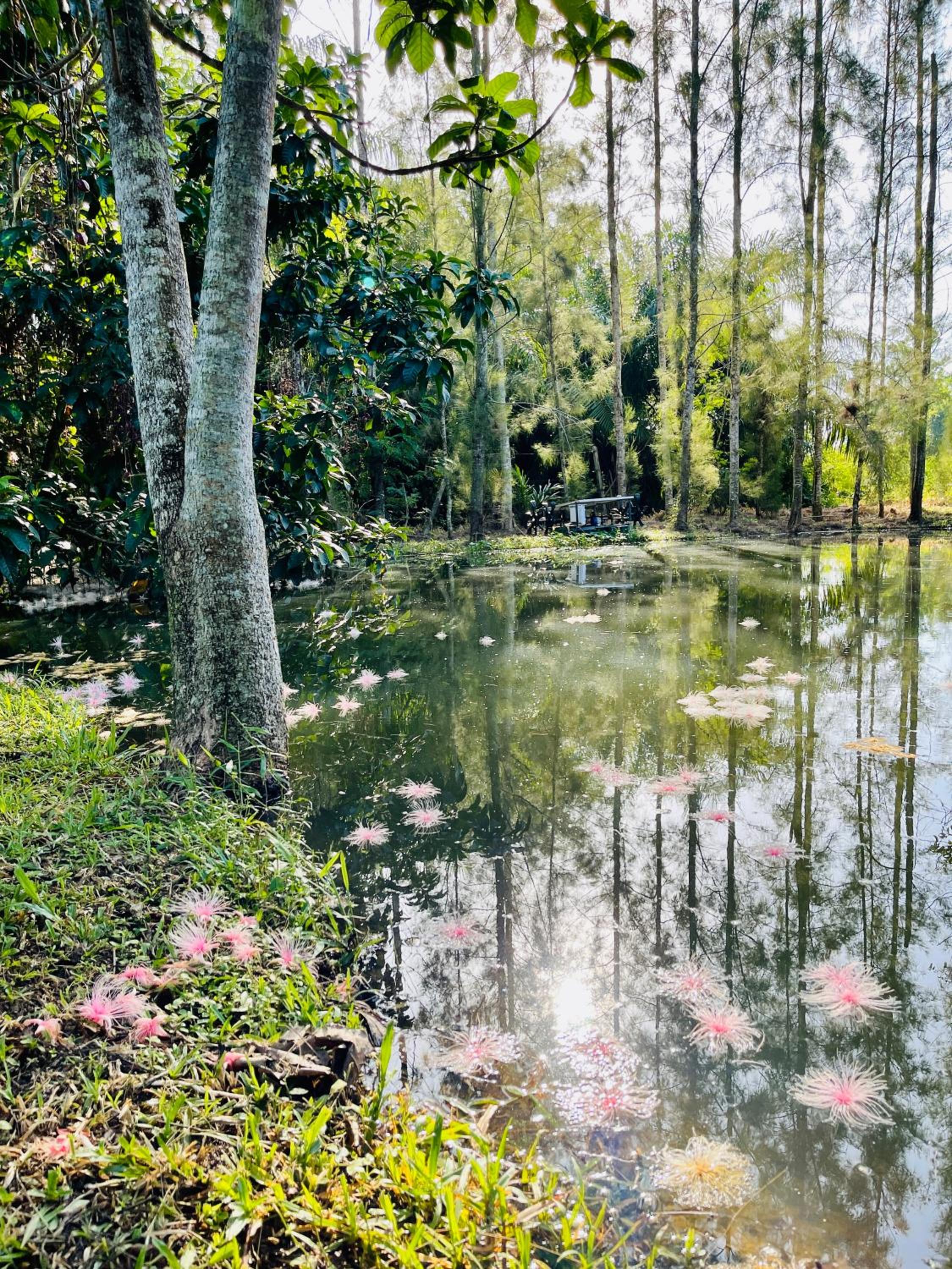 Wassana Sitdharma Guesthouse